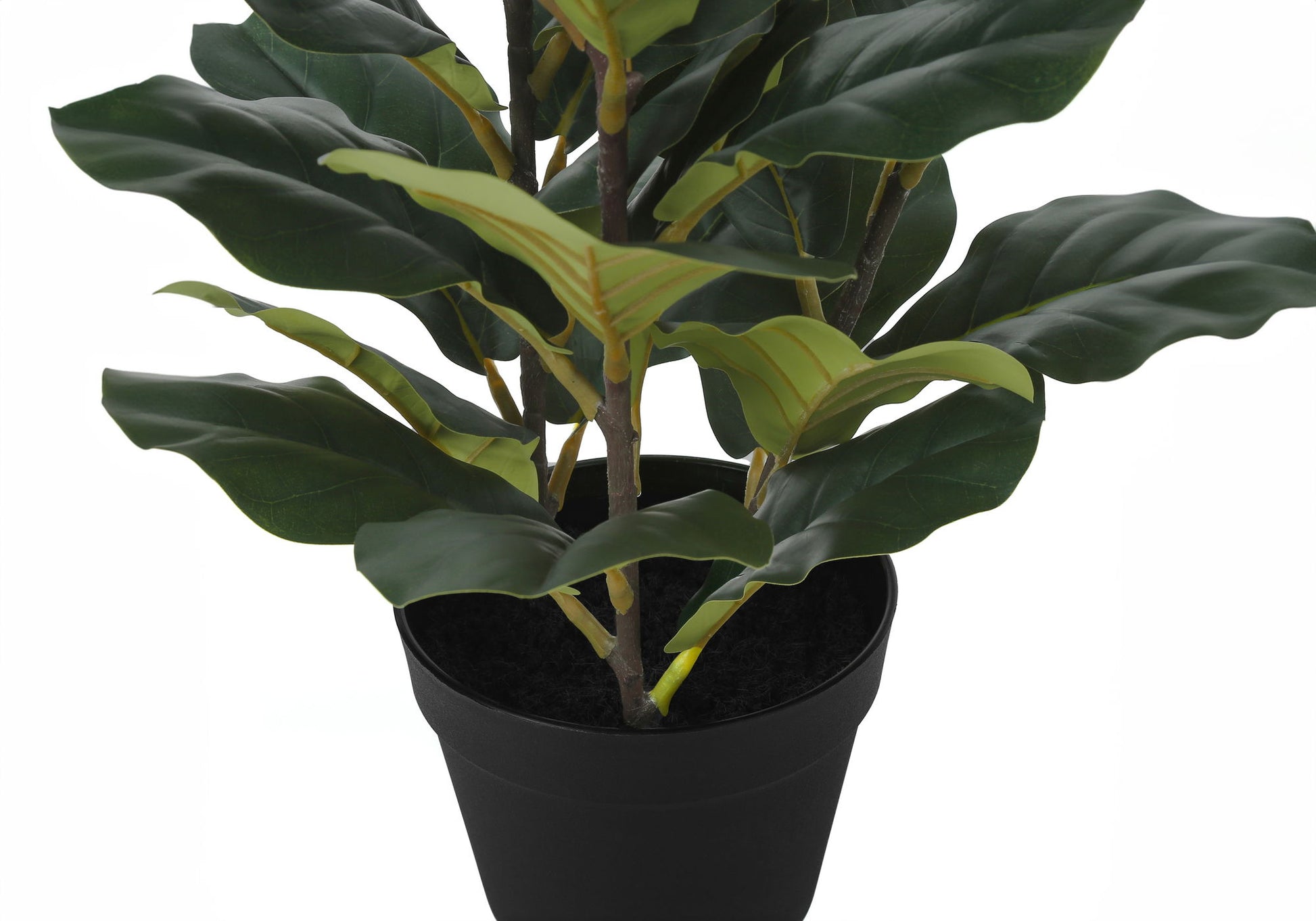 32" Tall, Artificial Plant, Fiddle Tree, Indoor, Faux, Fake, Floor, Greenery, Potted, Real Touch, Decorative - Green / Black - Best Buy Furniture