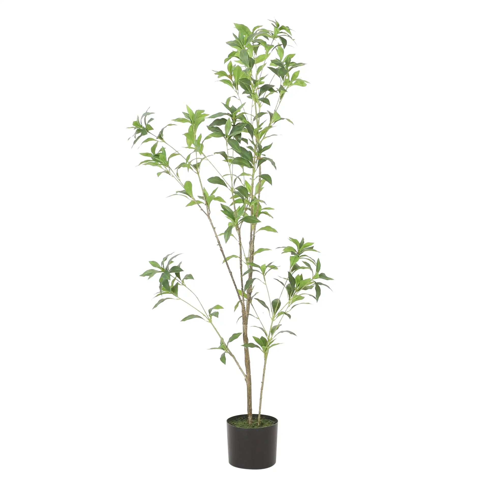 120CMARTIFICIAL PIERIS TREE - Best Buy Furniture
