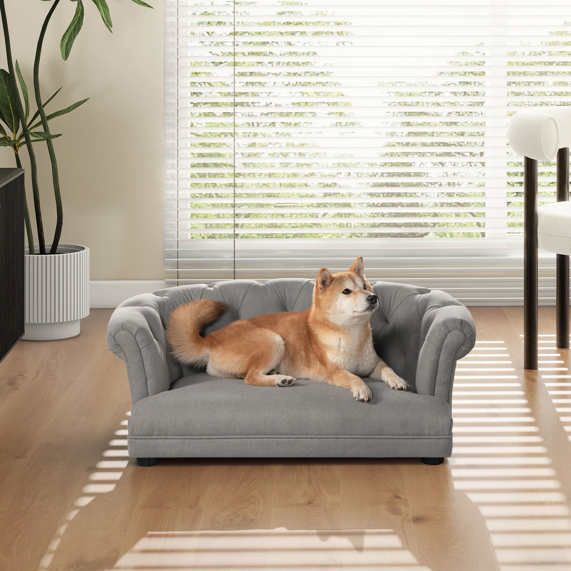 Kiki - Chesterfield Dog Sofa Bed Medium - Best Buy Furniture