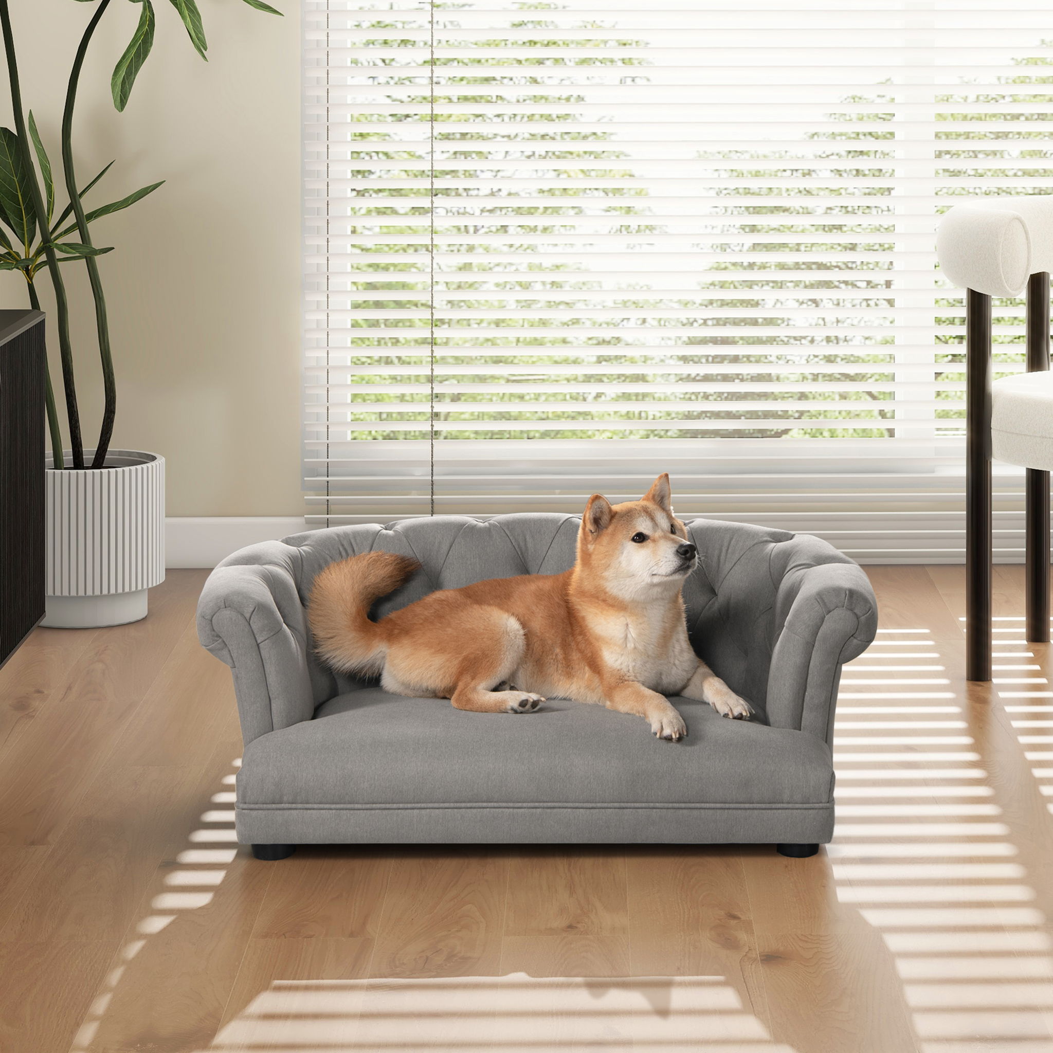 Kiki - Chesterfield Dog Sofa Bed Medium - Best Buy Furniture