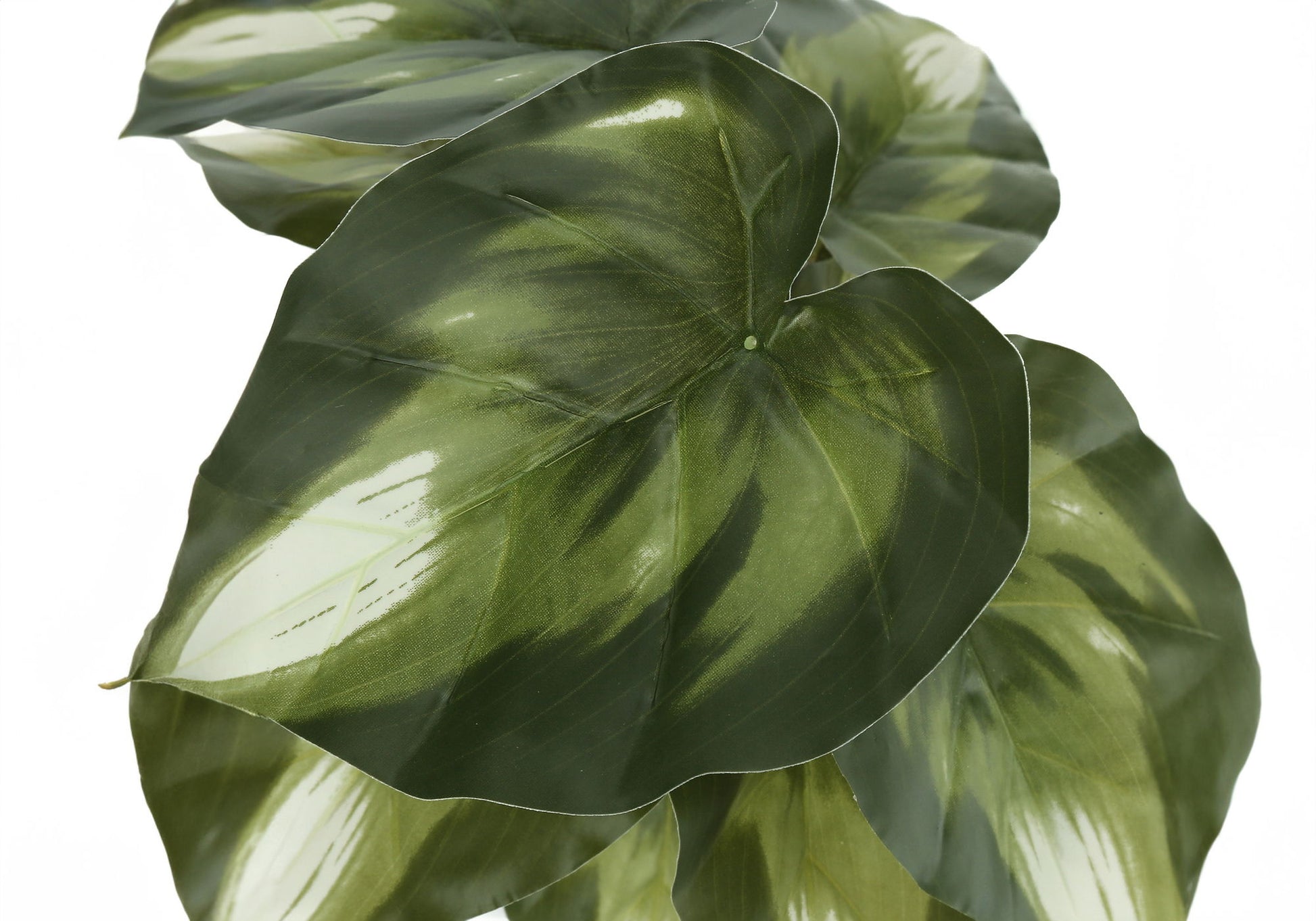 13" Tall, Artificial Plant, Monstera Calthea, Indoor, Faux, Fake, Table, Greenery, Potted, Decorative (Set of 2) - Green / Black - Best Buy Furniture