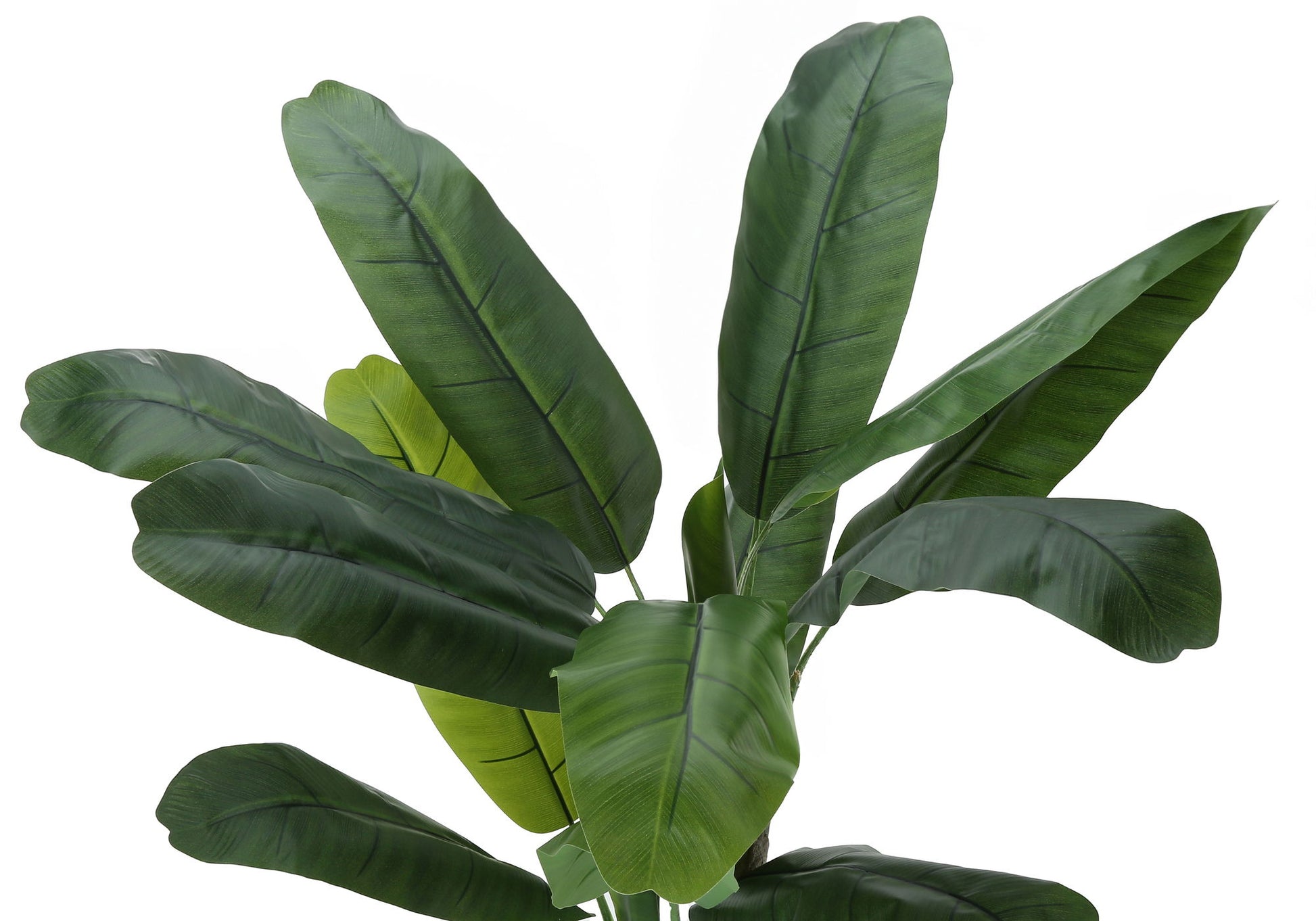 55" Tall, Artificial Plant, Banana Tree, Indoor, Faux, Fake, Floor, Greenery, Potted, Real Touch, Decorative - Green / Black - Best Buy Furniture