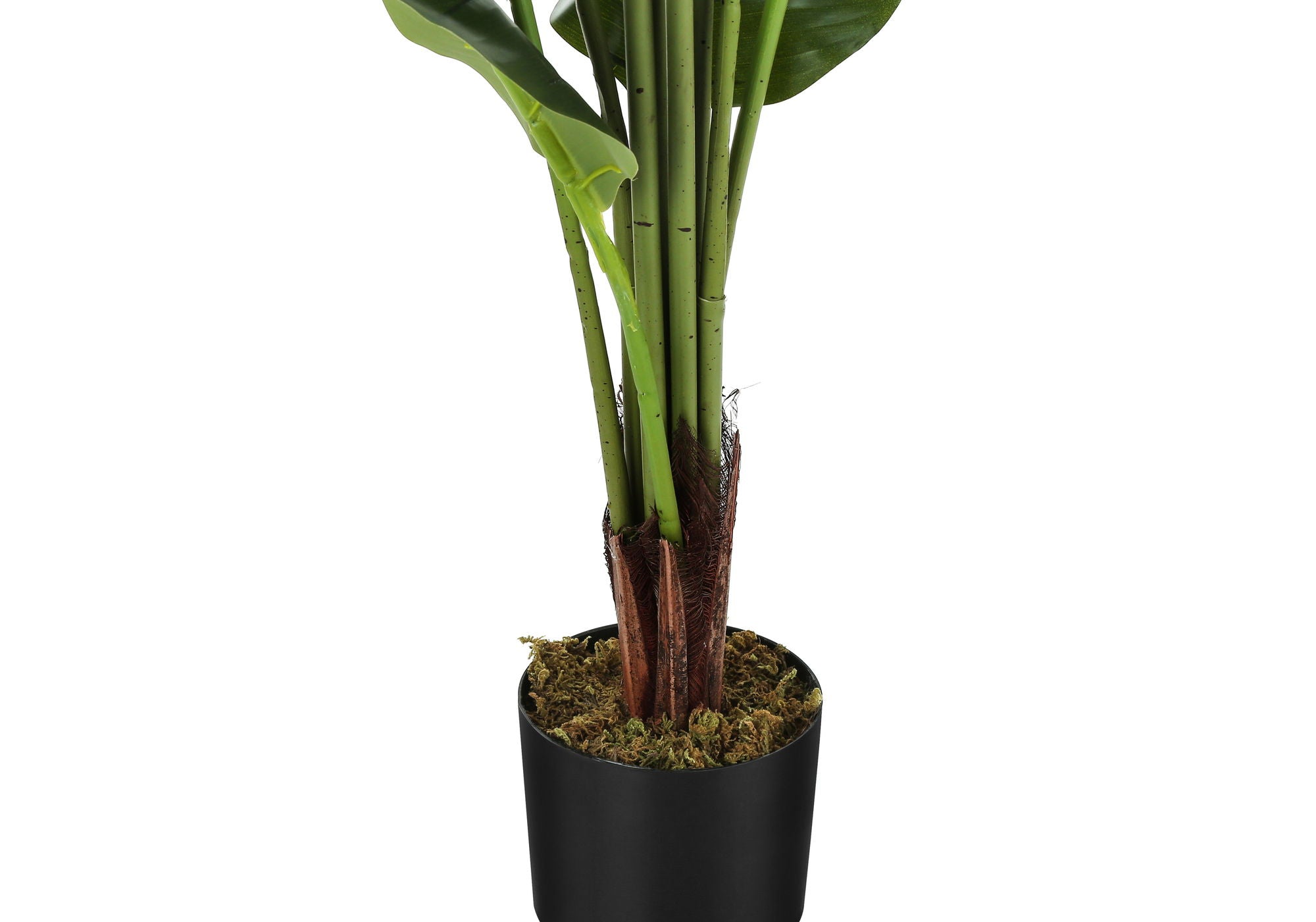 59" Tall, Artificial Plant, Strelitzia Tree, Indoor, Faux, Fake, Floor, Greenery, Potted, Real Touch, Decorative - Green / Black - Best Buy Furniture