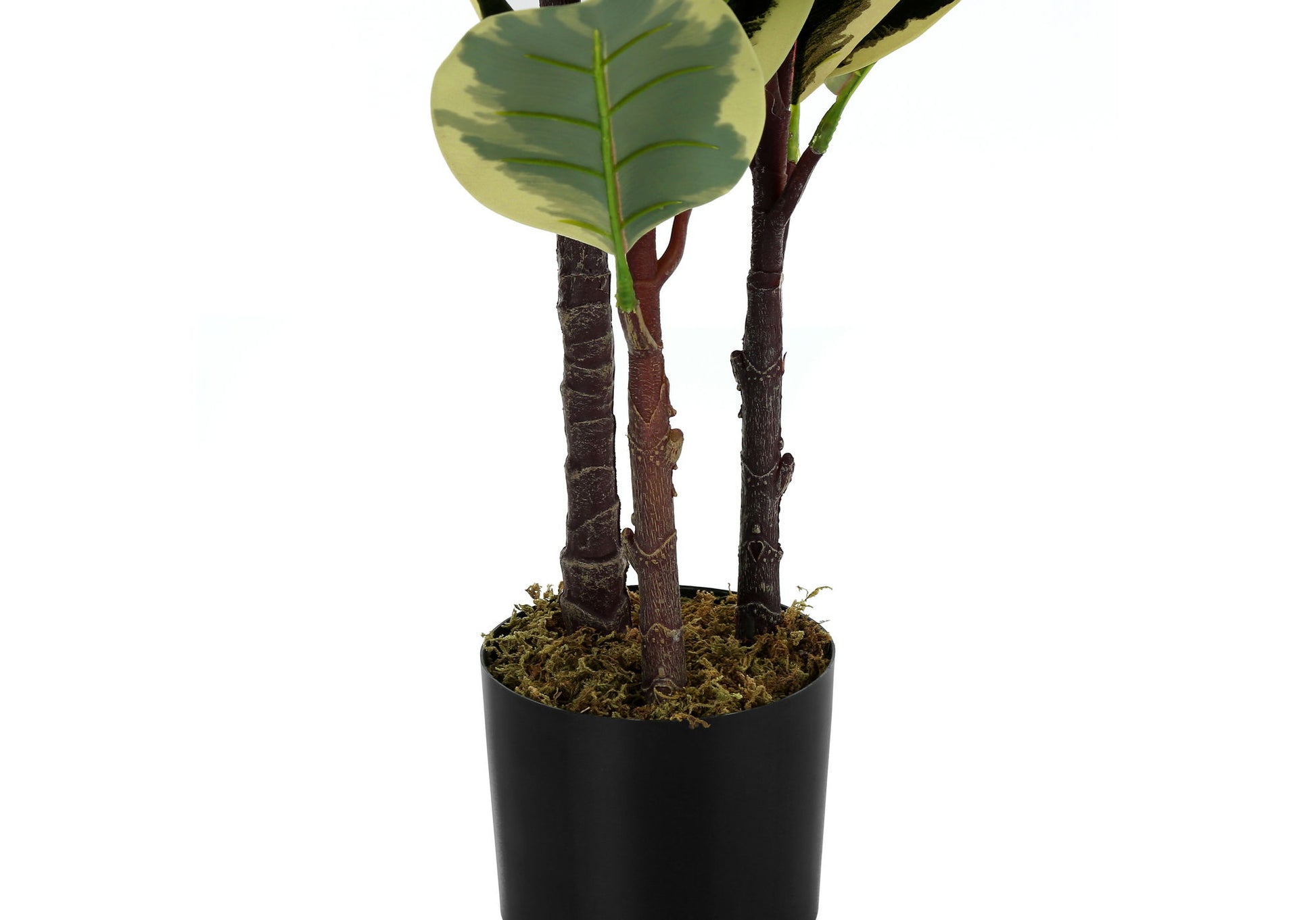 47" Tall, Artificial Plant, Oak Tree, Indoor, Faux, Fake, Floor, Greenery, Potted, Real Touch, Decorative - Green / Black - Best Buy Furniture