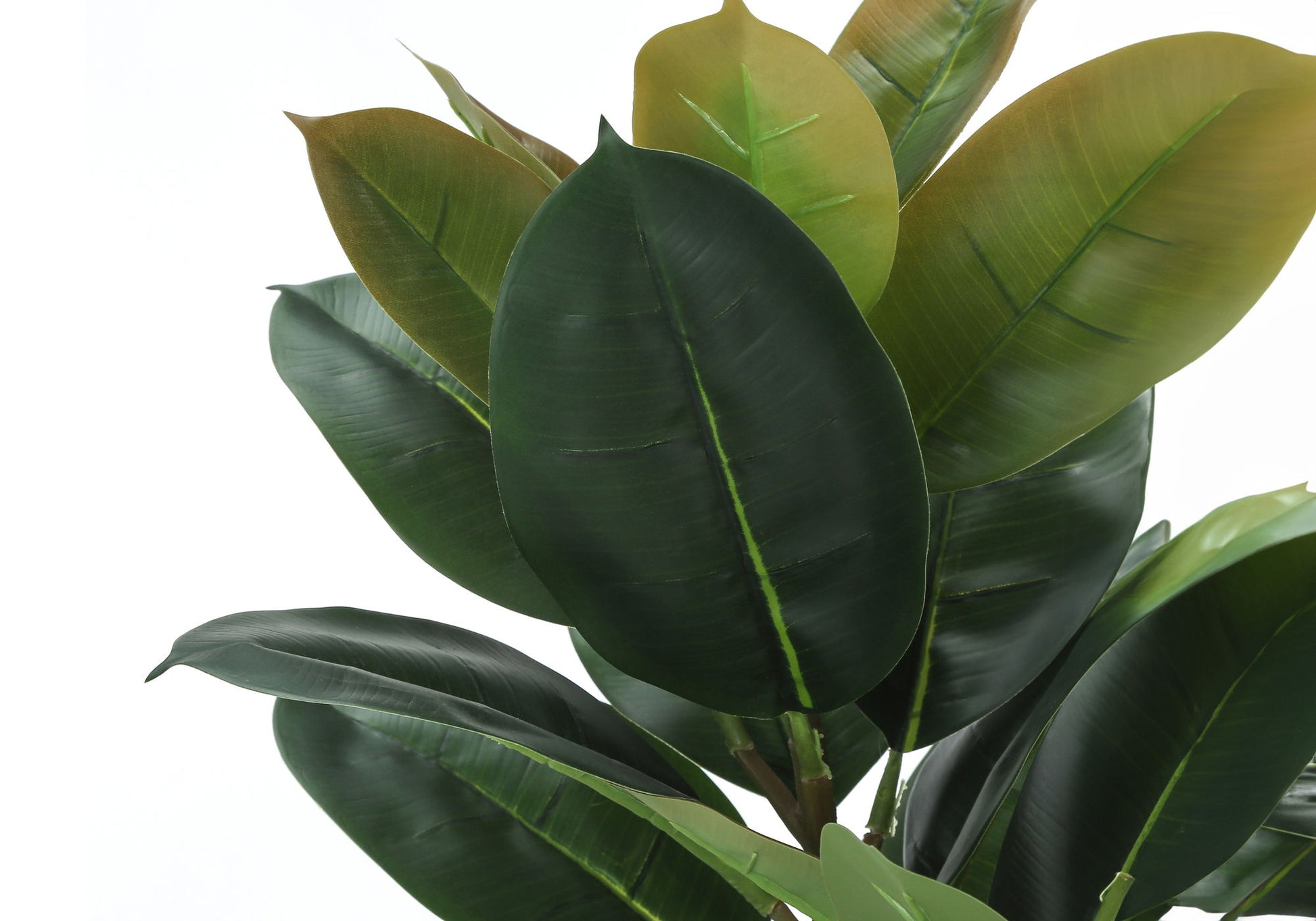 Artificial Plant, 40" Tall, Rubber Tree, Indoor, Faux, Fake, Floor, Greenery, Potted, Real Touch, Decorative - Green / Black - Best Buy Furniture