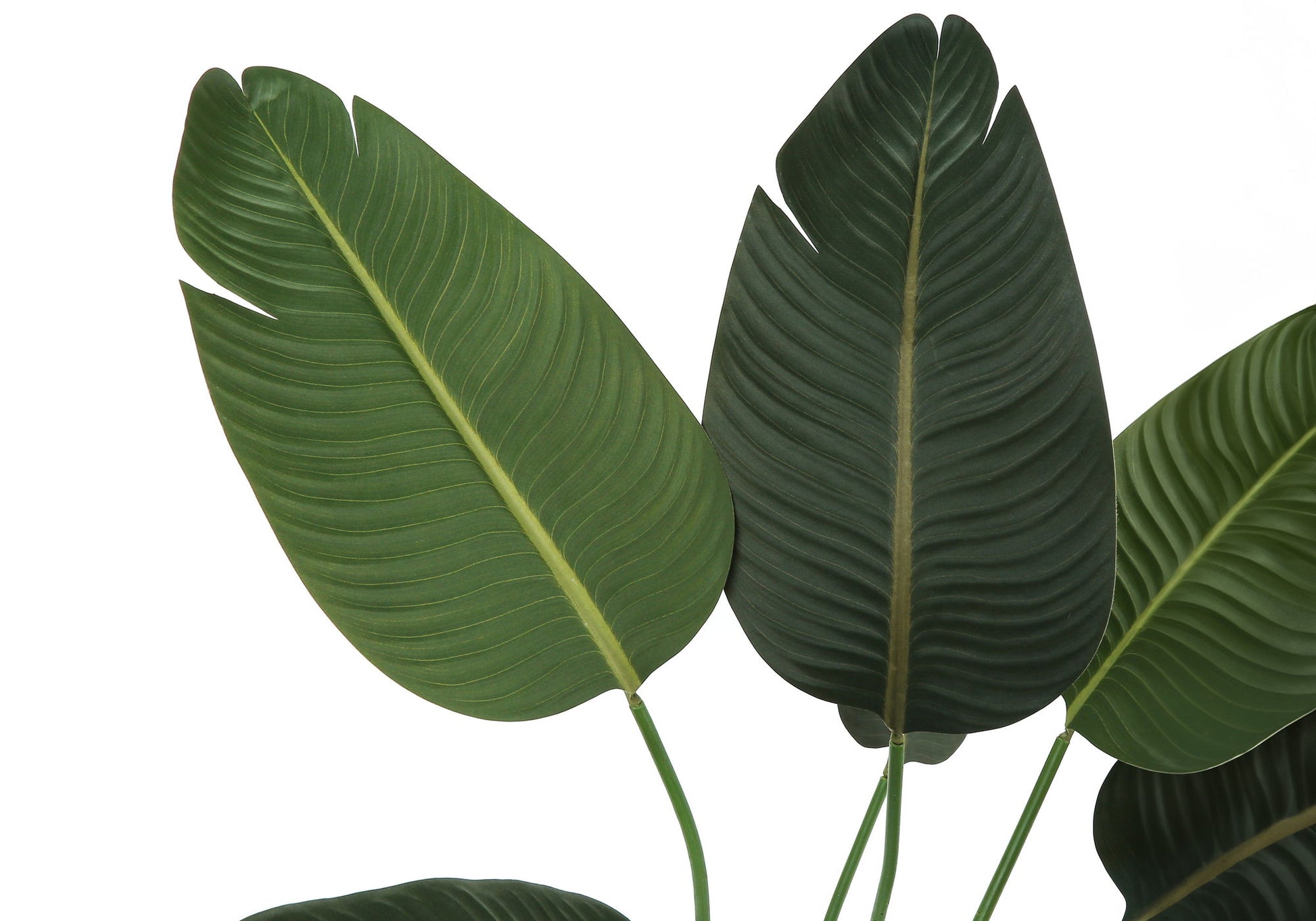 44" Tall, Artificial Plant, Bird Of Paradise Tree, Indoor, Faux, Fake, Floor, Greenery, Potted, Decorative - Green / Black - Best Buy Furniture