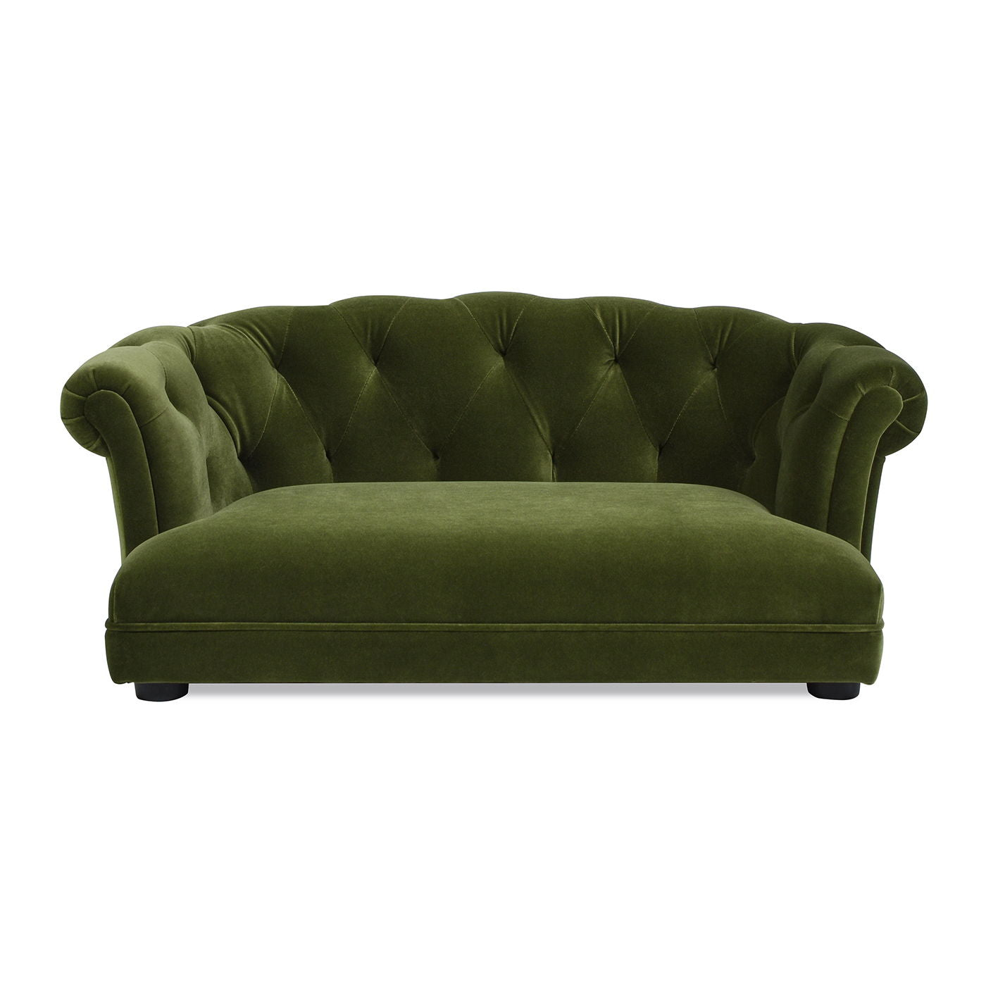 Kiki - Chesterfield Dog Sofa Bed Medium - Best Buy Furniture