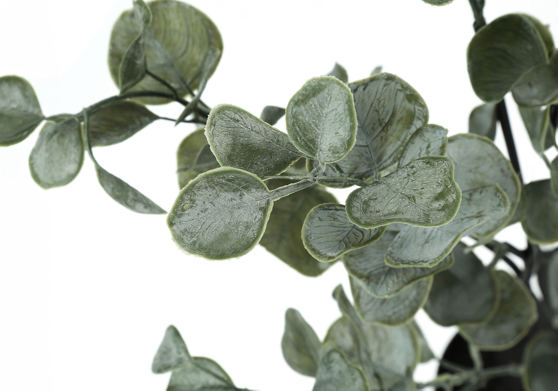 35" Tall, Artificial Plant, Eucalyptus Tree, Indoor, Faux, Fake, Floor, Greenery, Potted, Decorative - Green / Black - Best Buy Furniture