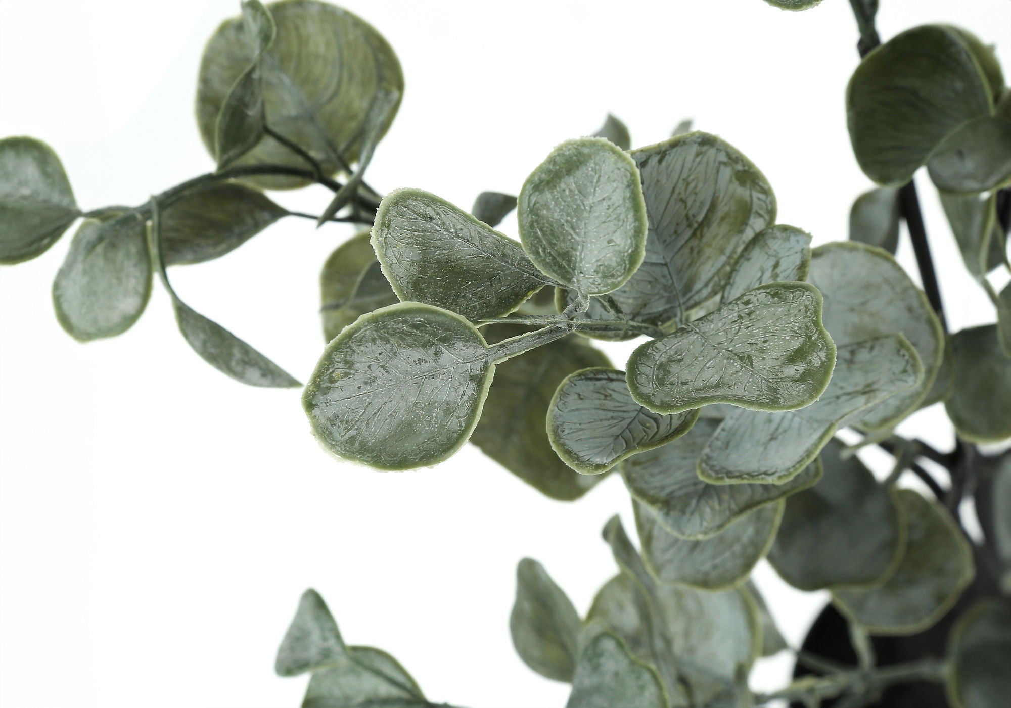 35" Tall, Artificial Plant, Eucalyptus Tree, Indoor, Faux, Fake, Floor, Greenery, Potted, Decorative - Green / Black - Best Buy Furniture