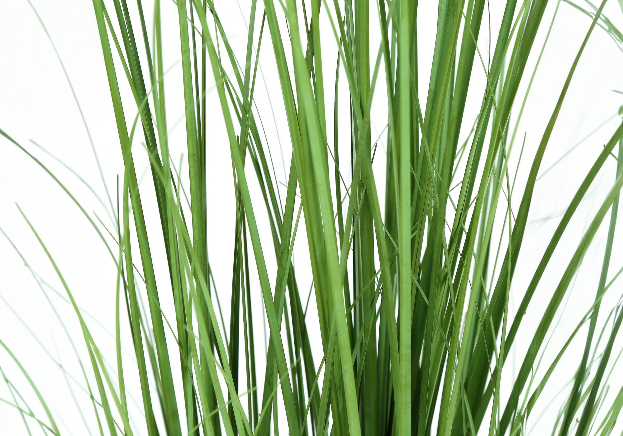 47" Tall, Artificial Plant, Grass Tree, Indoor, Faux, Fake, Floor, Greenery, Potted, Real Touch, Decorative - Green / Black - Best Buy Furniture
