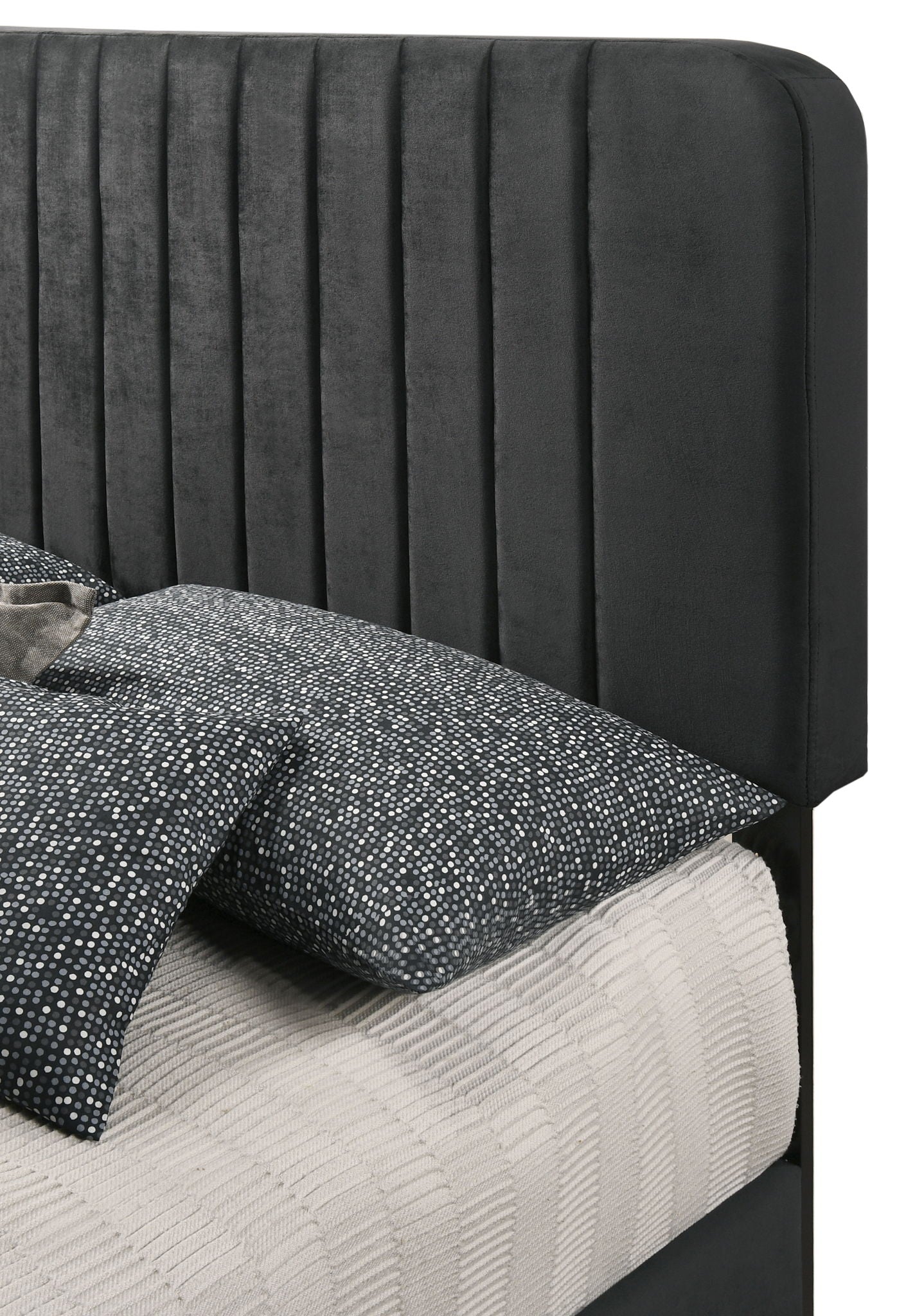 Lodi - Bed - Best Buy Furniture