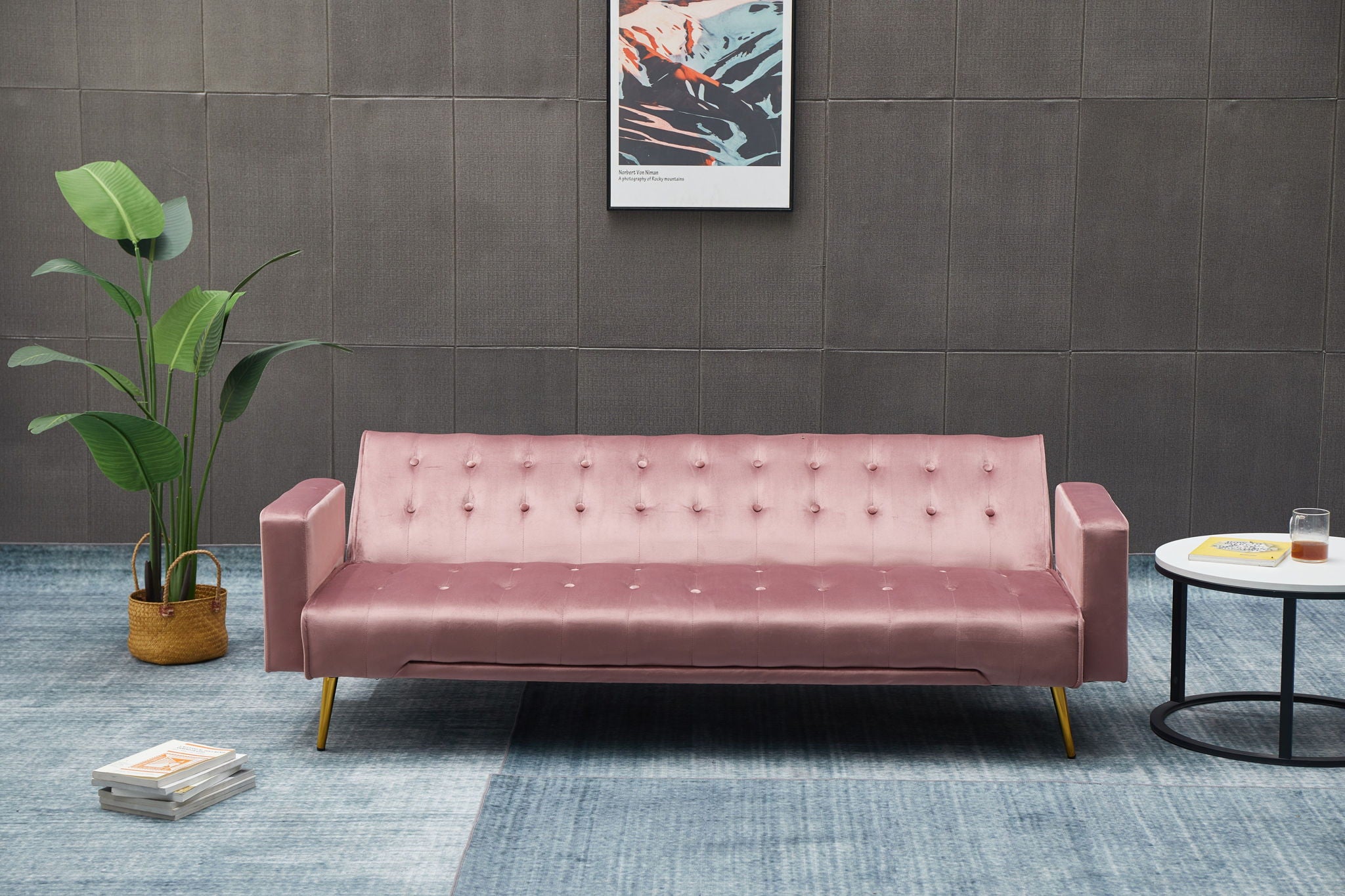 Comfort Compact Design Sofa Bed - Best Buy Furniture