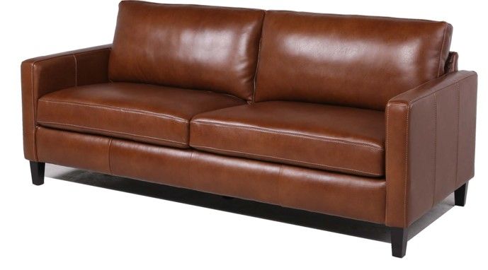 Modern & Contemporary Leather Sofa - Best Buy Furniture