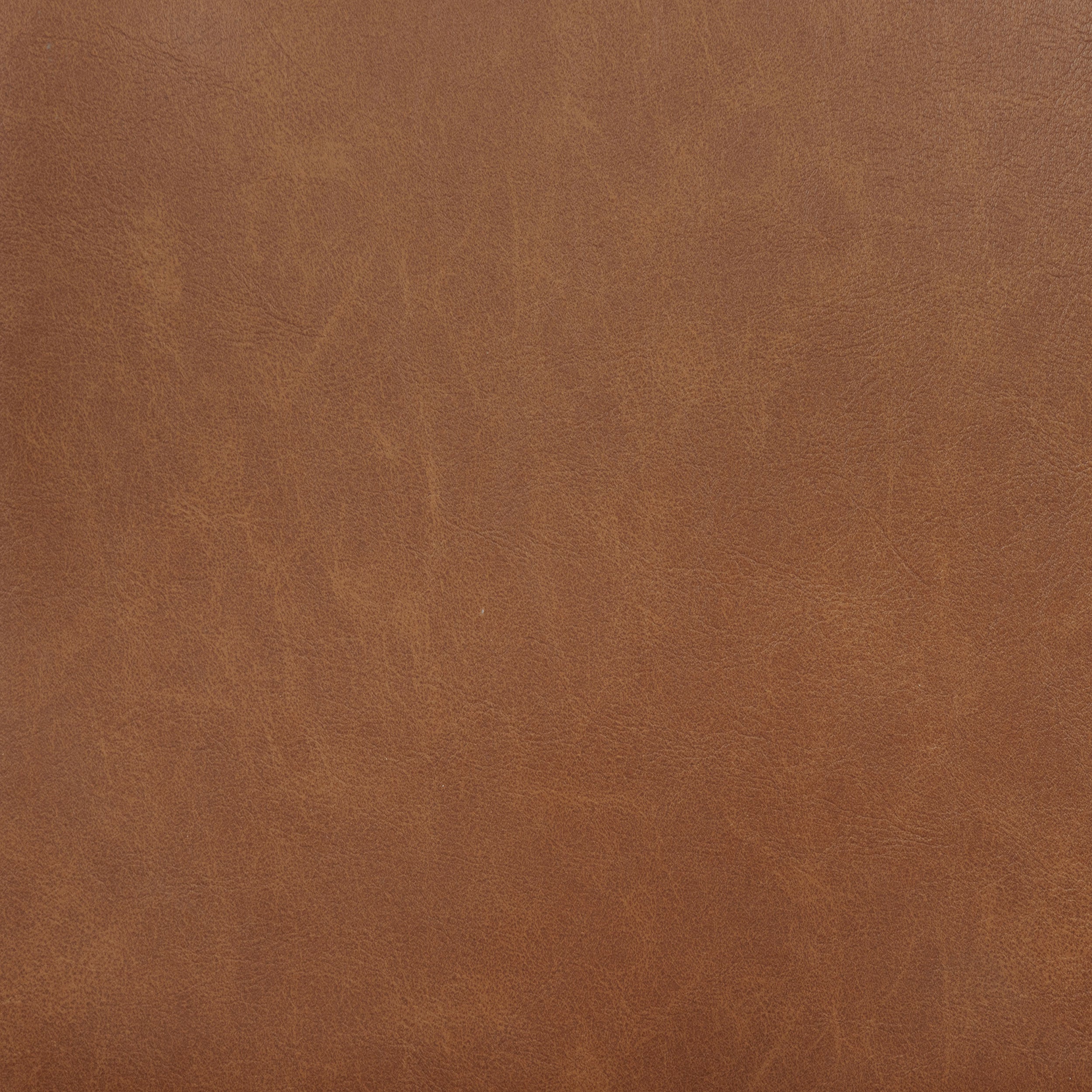 Tegan Faux Leather Upholstered Dining Side Chair Cognac (Set of 2)-