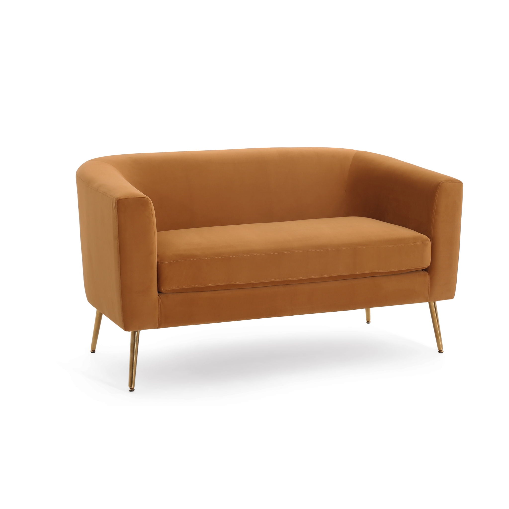 Modern Elegant Design Style Loveseat