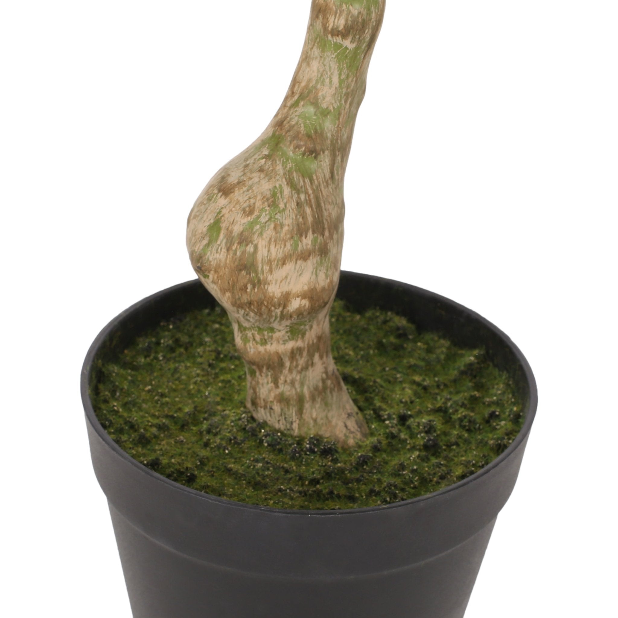 120CM ARTIFICIAL PACHIRA MACROCARPA - Tuesday Morning - Faux Trees