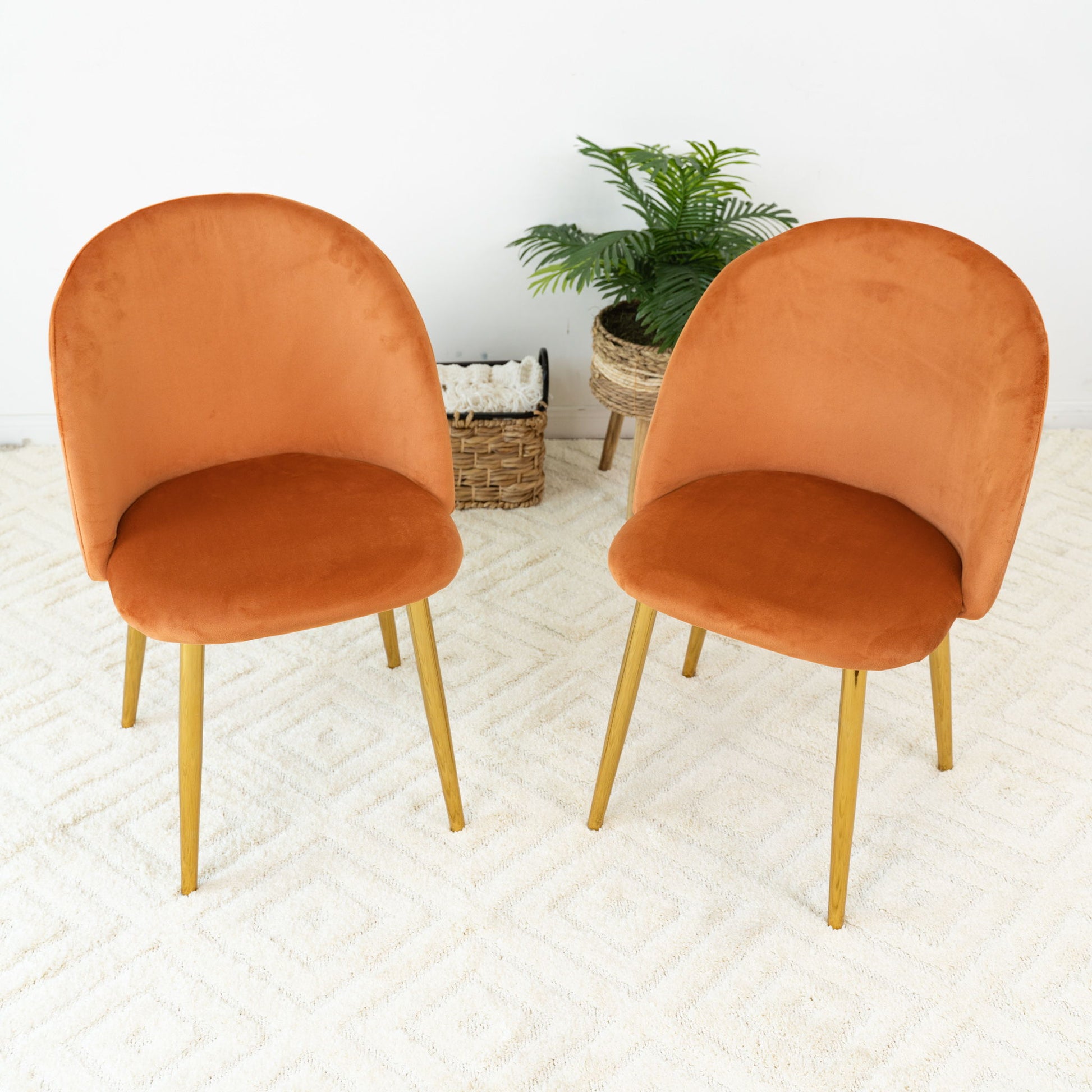 Marion - Mid Century Modern Dining Chair (Set of 2) - Best Buy Furniture