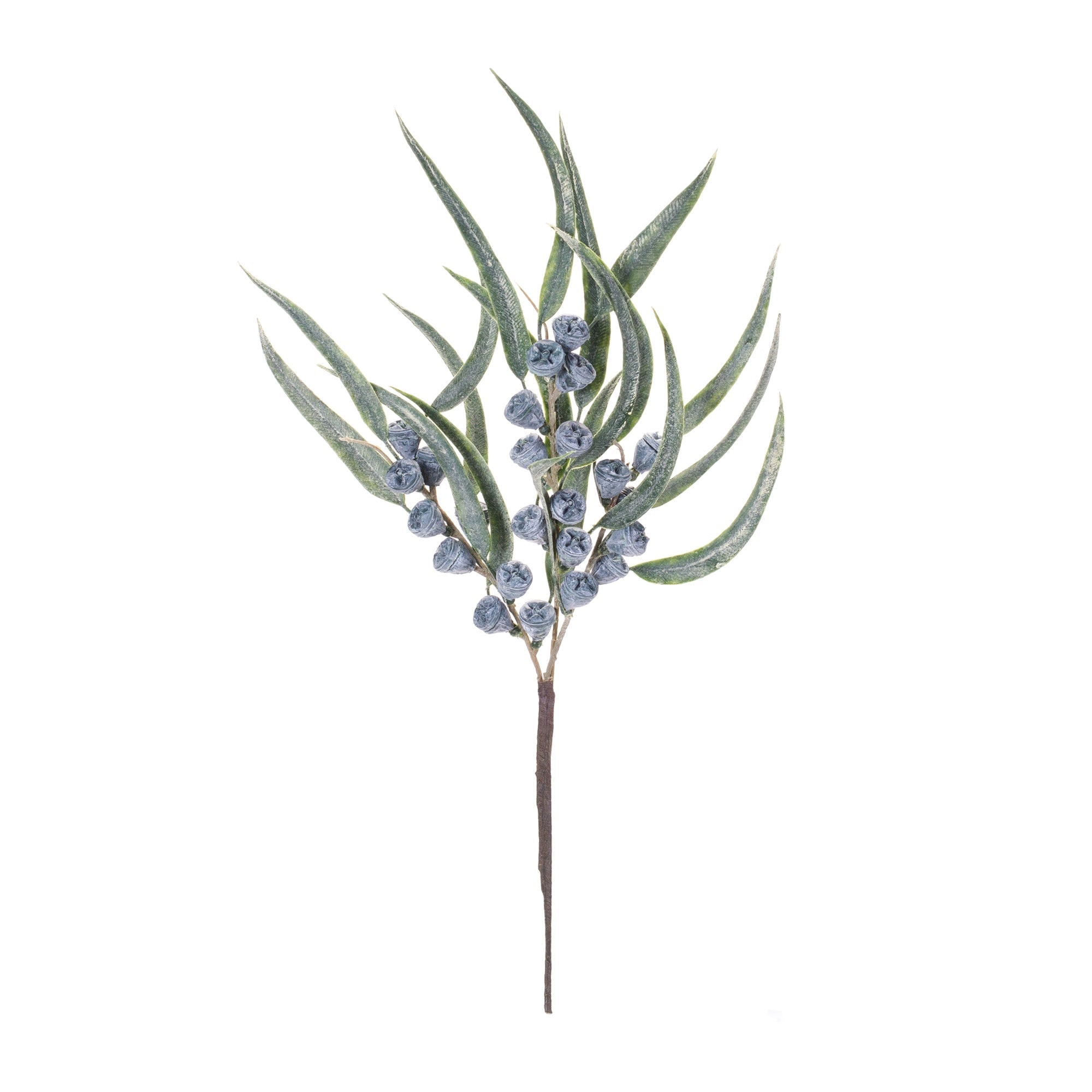 Winter Berry Pod Pick (Set of 6)