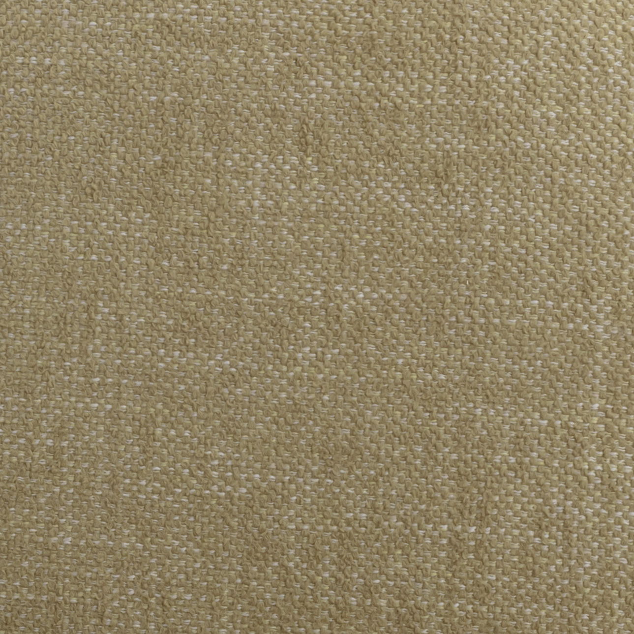 Sulley - Dining Chair