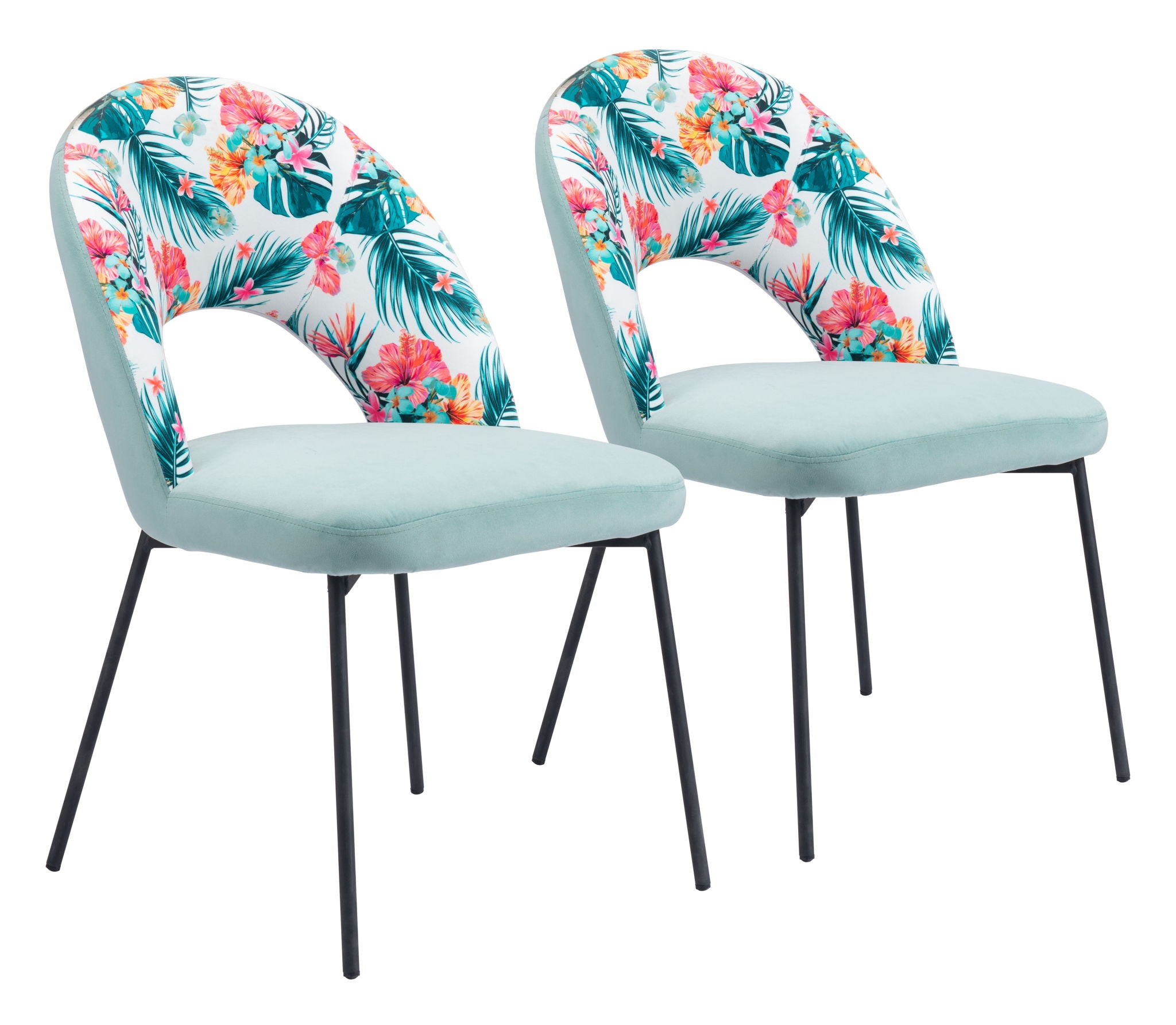 Bethpage - Dining Chair (Set of 2) - Multicolor Print & Green