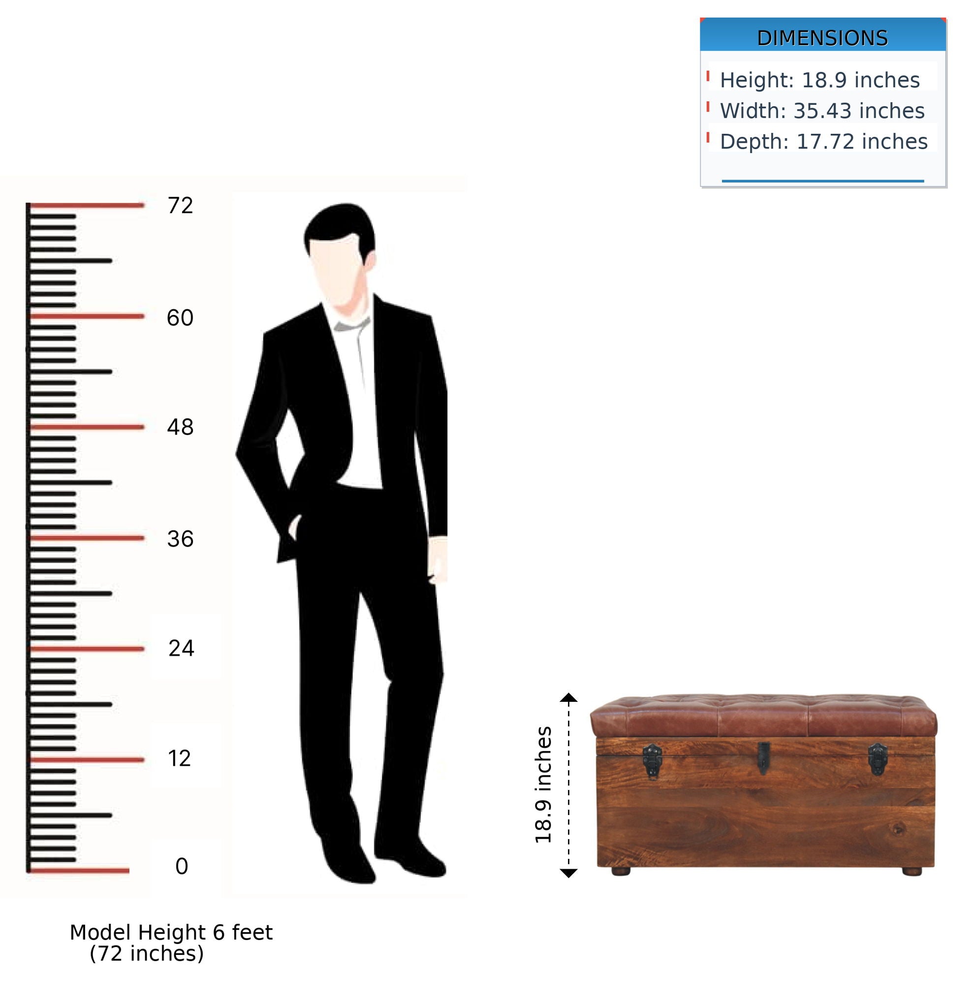 Buffalo - Leather Storage Trunk