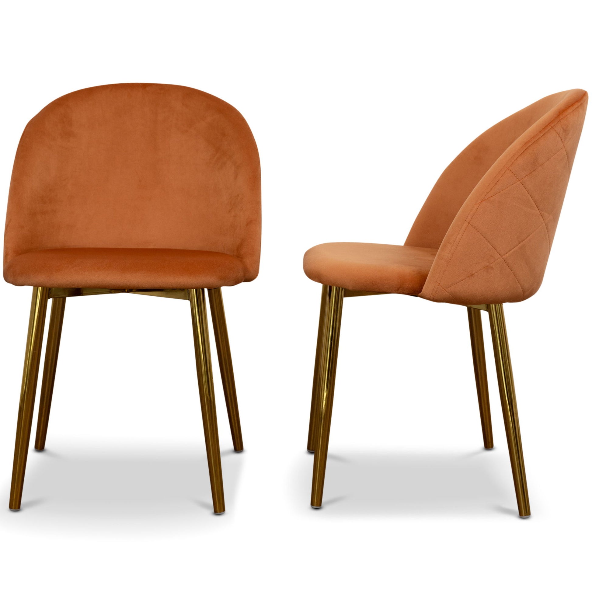 Marion - Mid Century Modern Dining Chair (Set of 2) - Best Buy Furniture