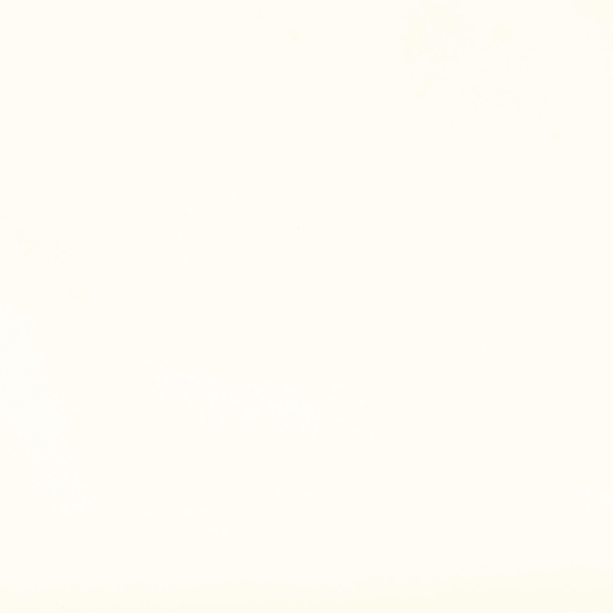 Carmel - Velvet Counter Stool - Cream