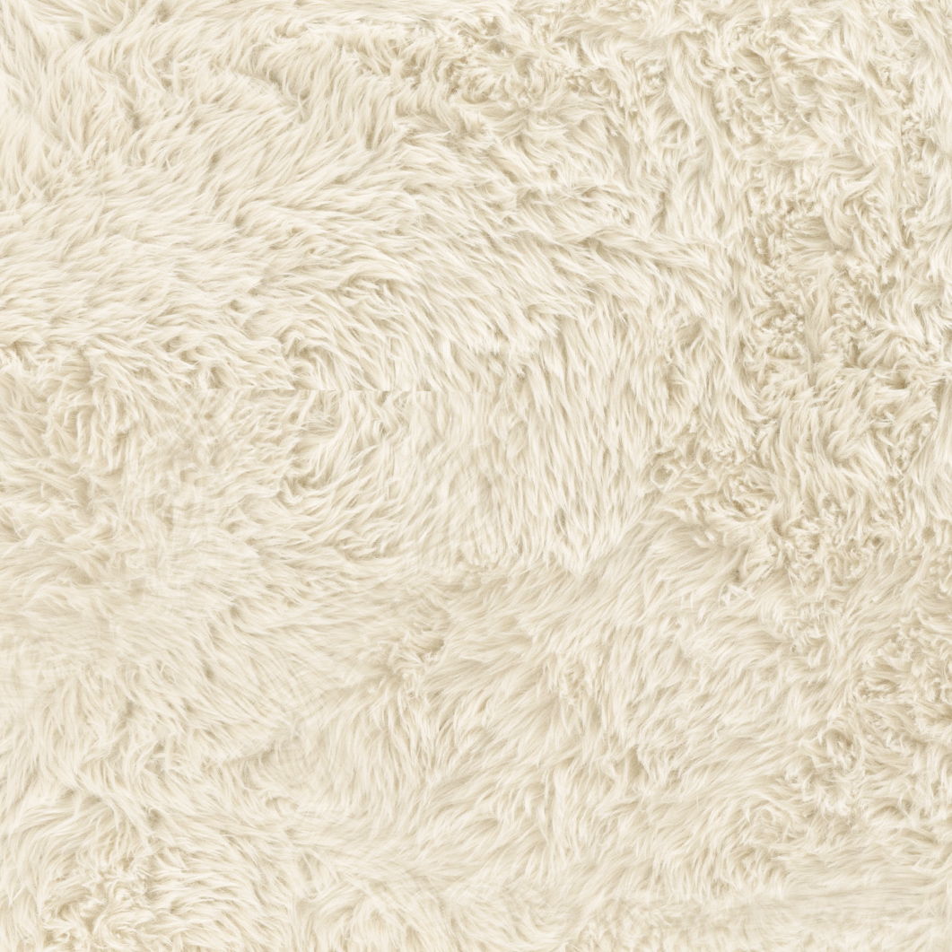 Ollie - Straight Bench