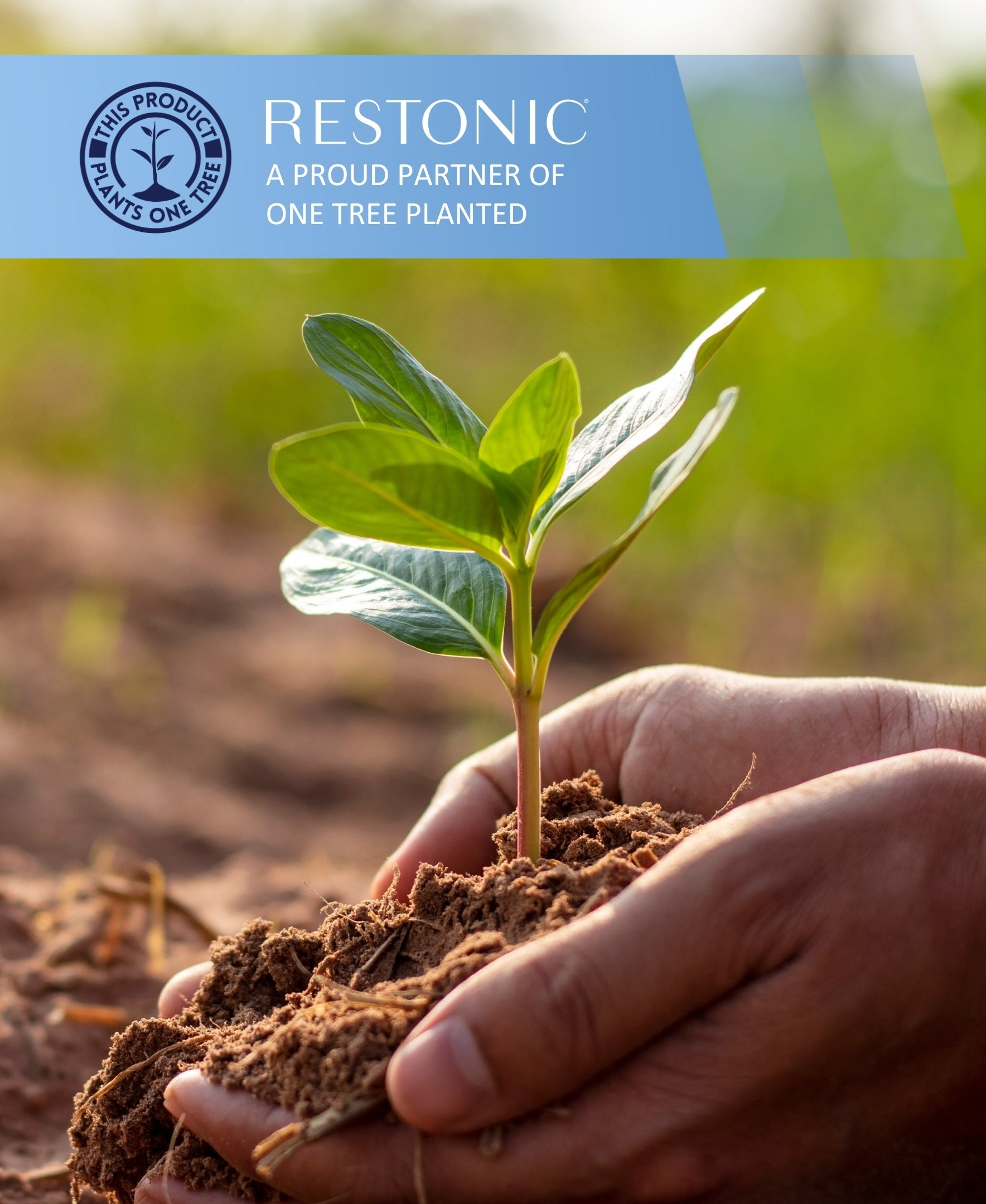 Restonic ComfortCare Hybrid Restful Nights Firm Full Mattress