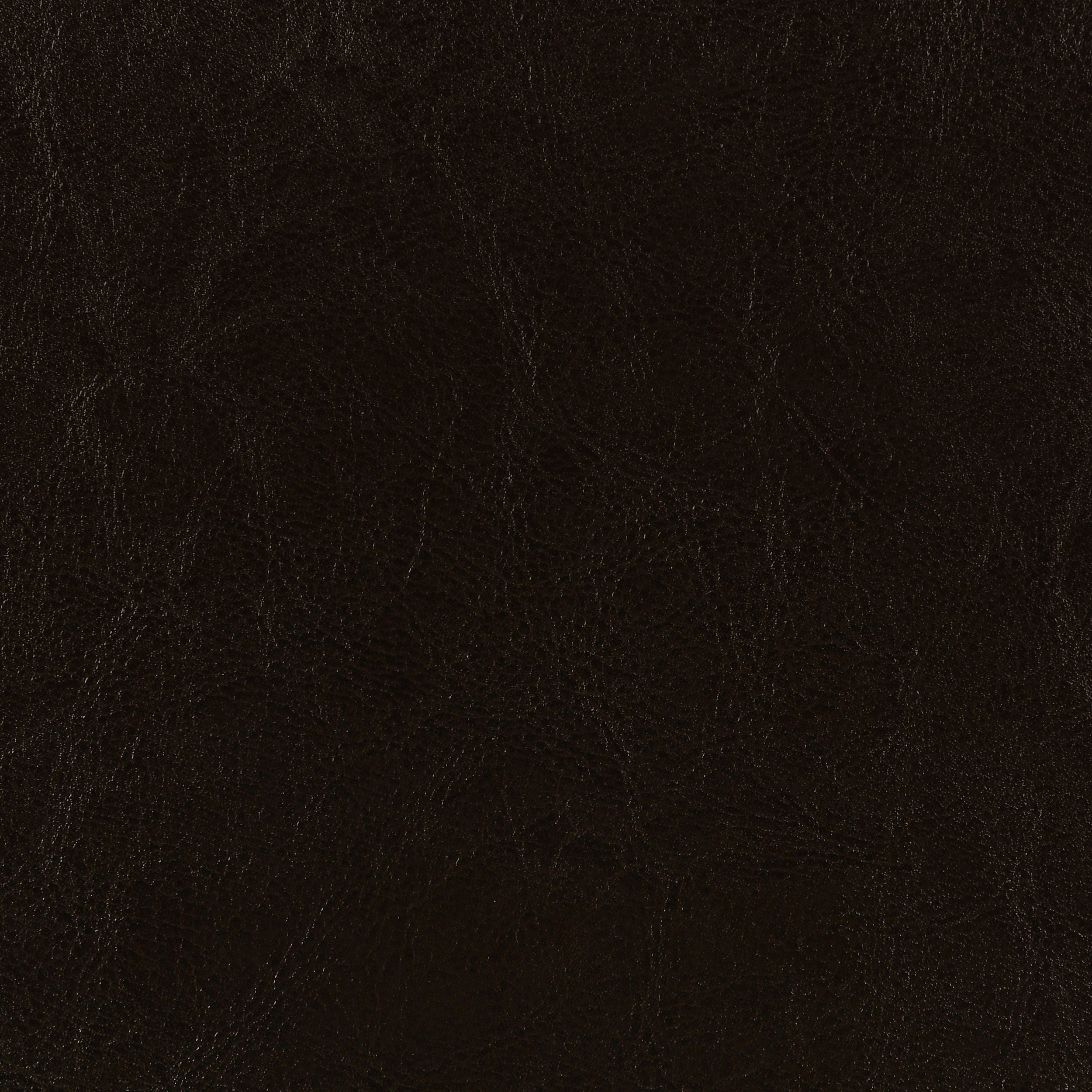 Dorian Faux Leather Upholstered Twin Panel Bed Brown-CoasterEveryday