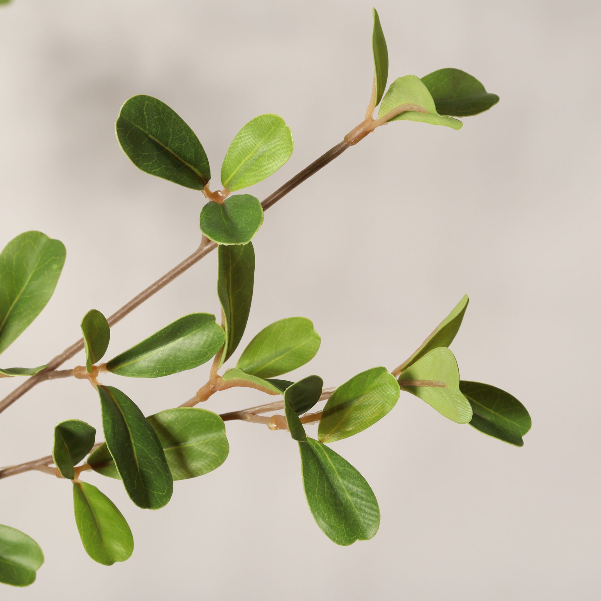 Lifelike Artificial Olive Tree With Plastic Pot For Home Living Room Decor - Green Leaves