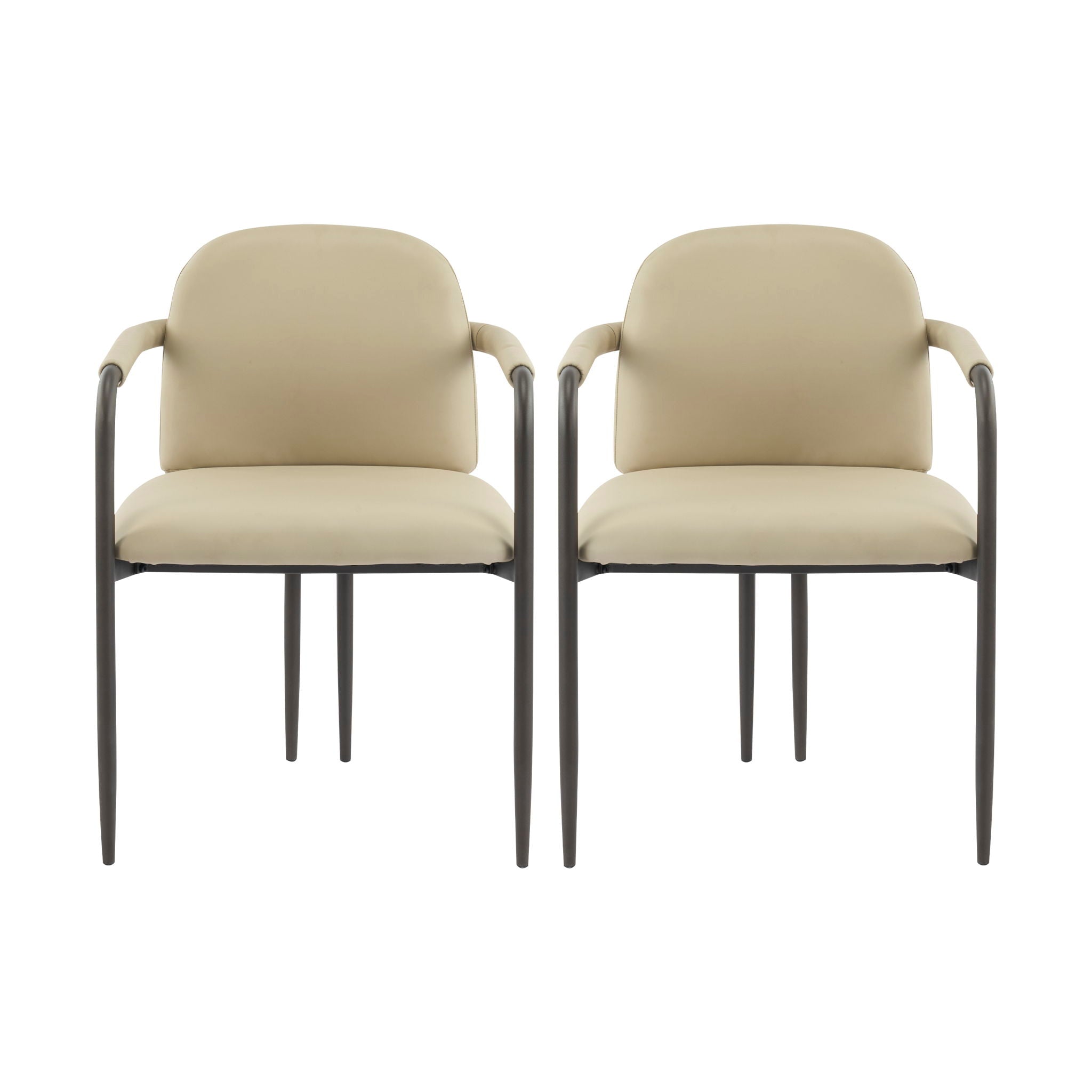 Modern Dining Chair (Set of 2) With Iron Frame - Espresso / Khaki