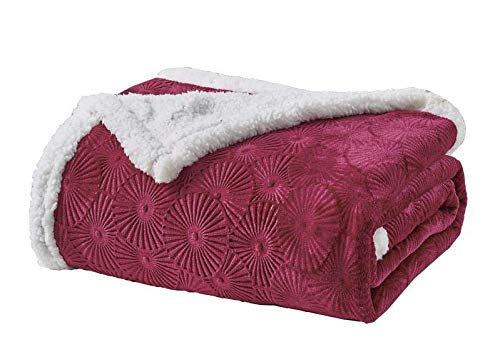 Decor&More Bon Iver Collection Extra Soft Bursting Fireworks Embossed Microplush Throw Blanket with Sherpa Backing (50" x 60") - Best Buy Furniture