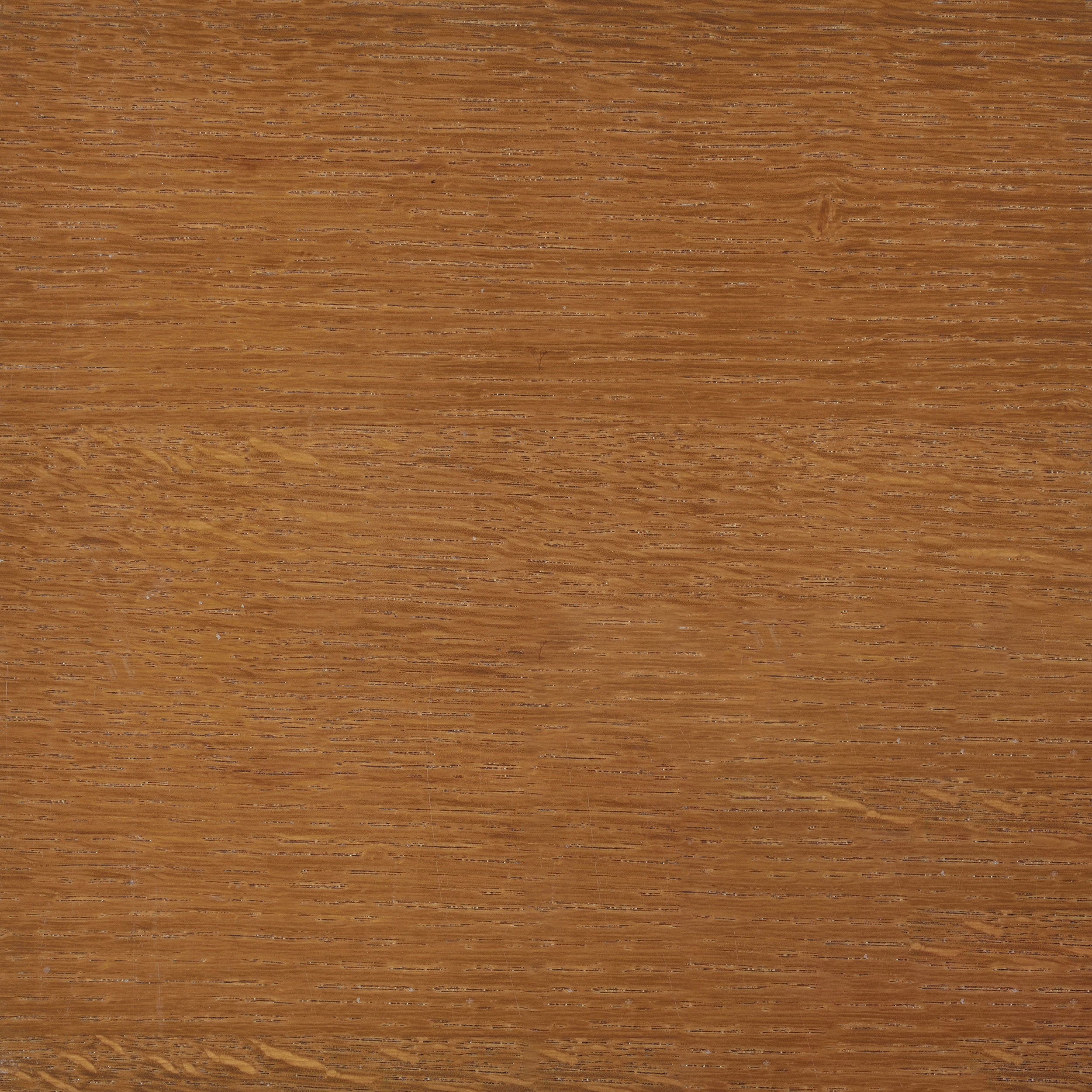 Paula Cedar Chest Honey-CoasterEssence
