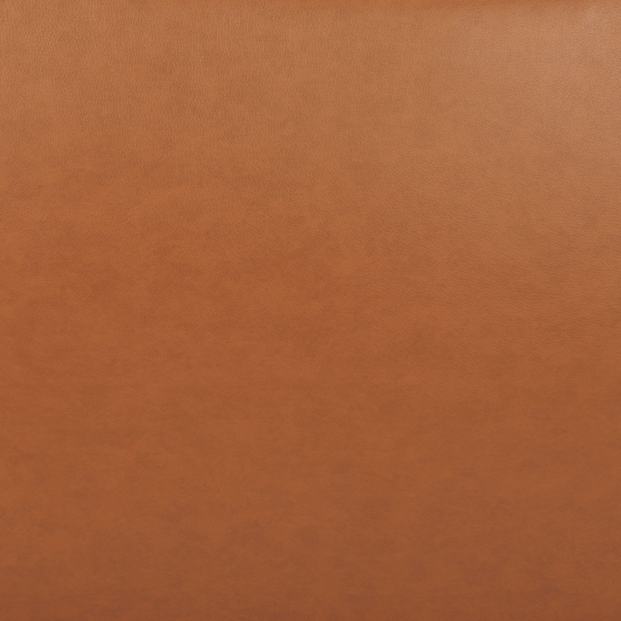 Sekil - Accent Chair - Brown