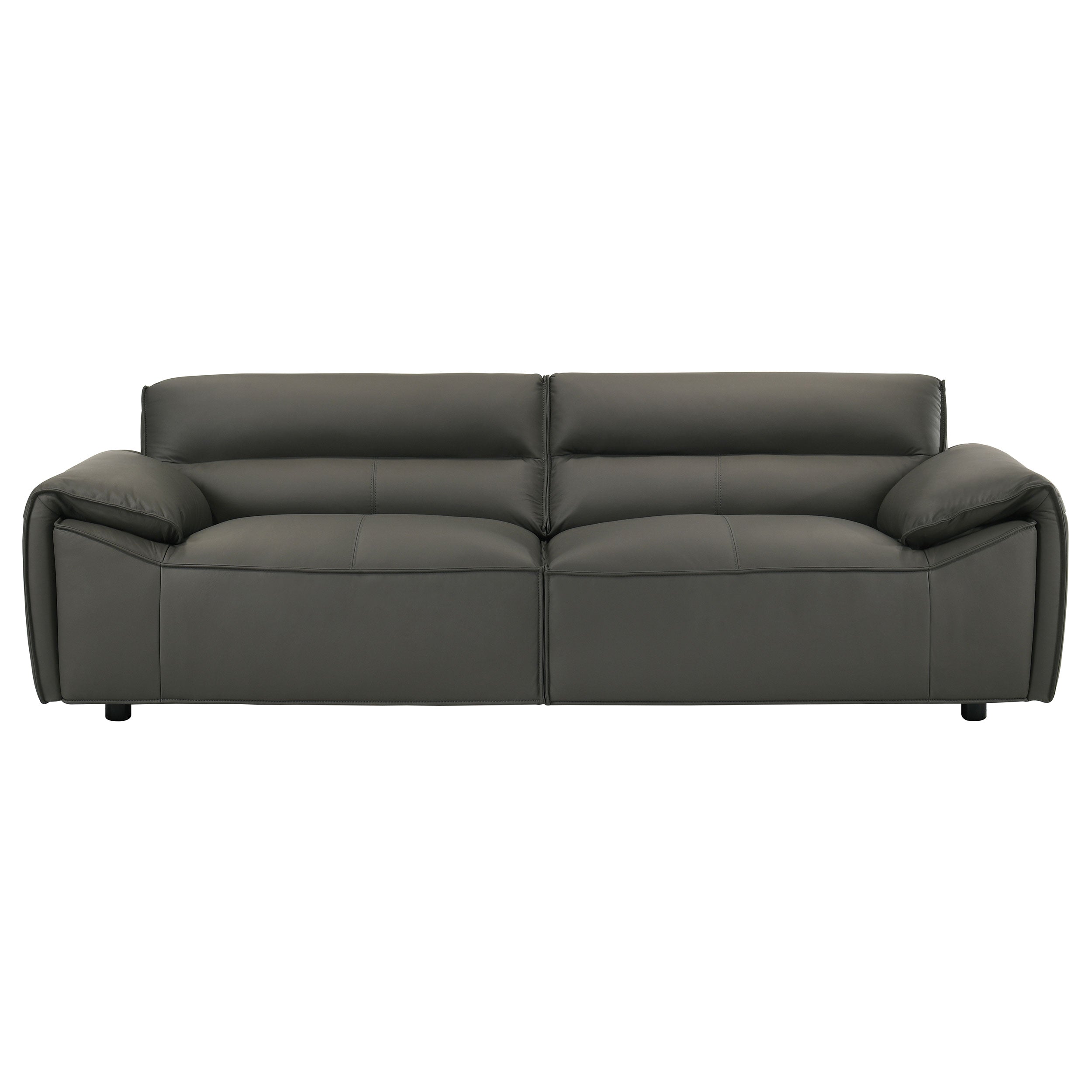 Buxton Top Grain Leather Upholstered Sofa Graphite-