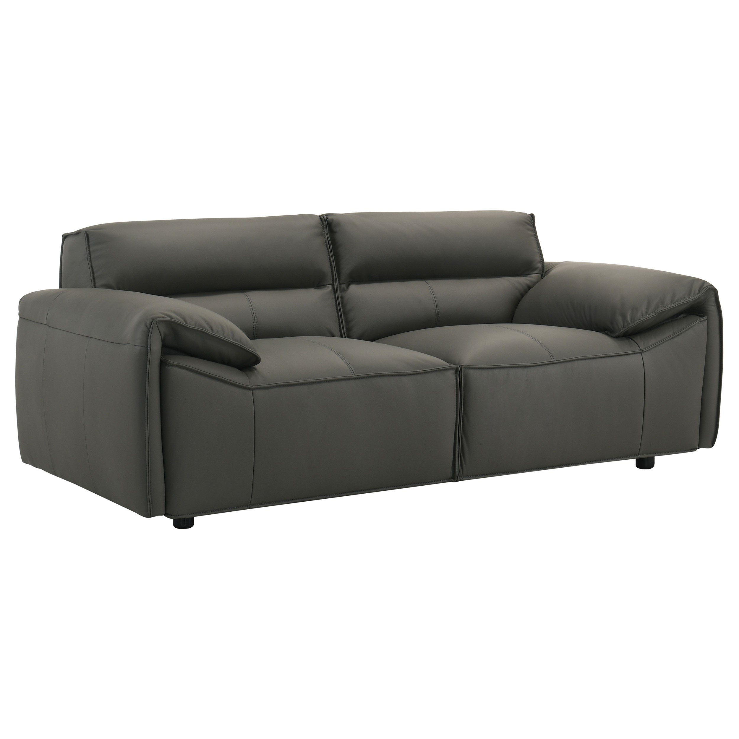 Buxton Top Grain Leather Upholstered Loveseat Graphite-