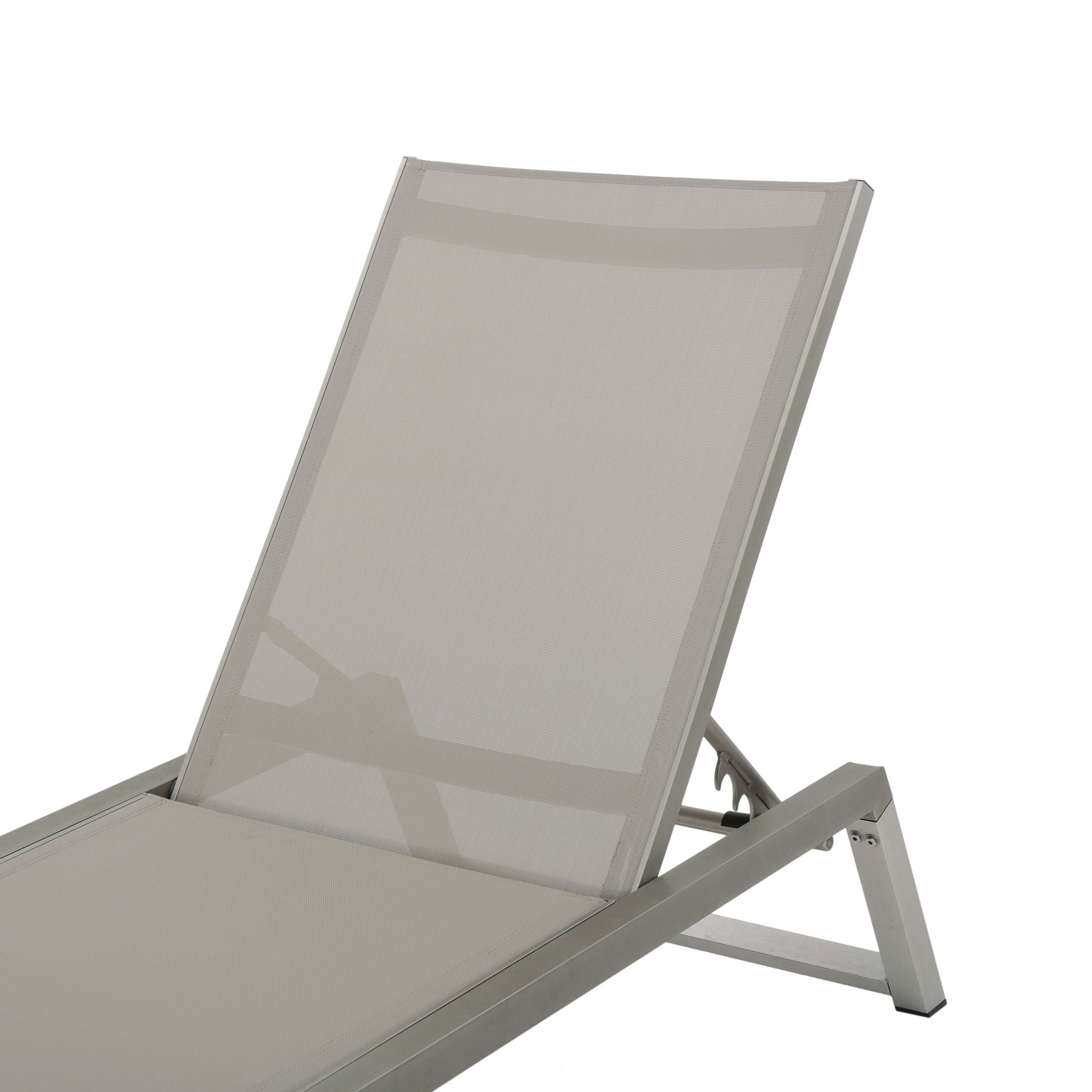 Myers - Modern Chaise Lounge Set With Adjustable Mesh Back
