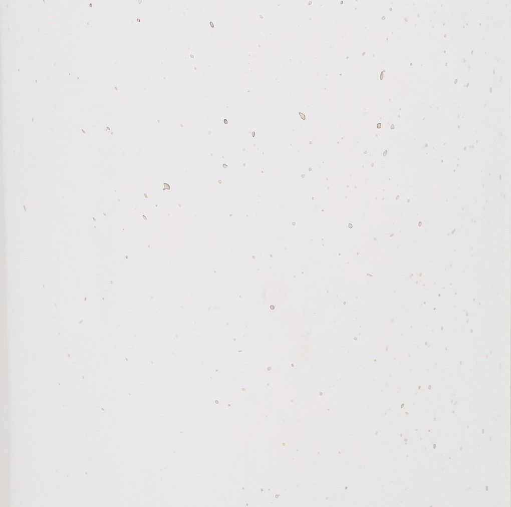 Tildy - Concrete Side Table - White