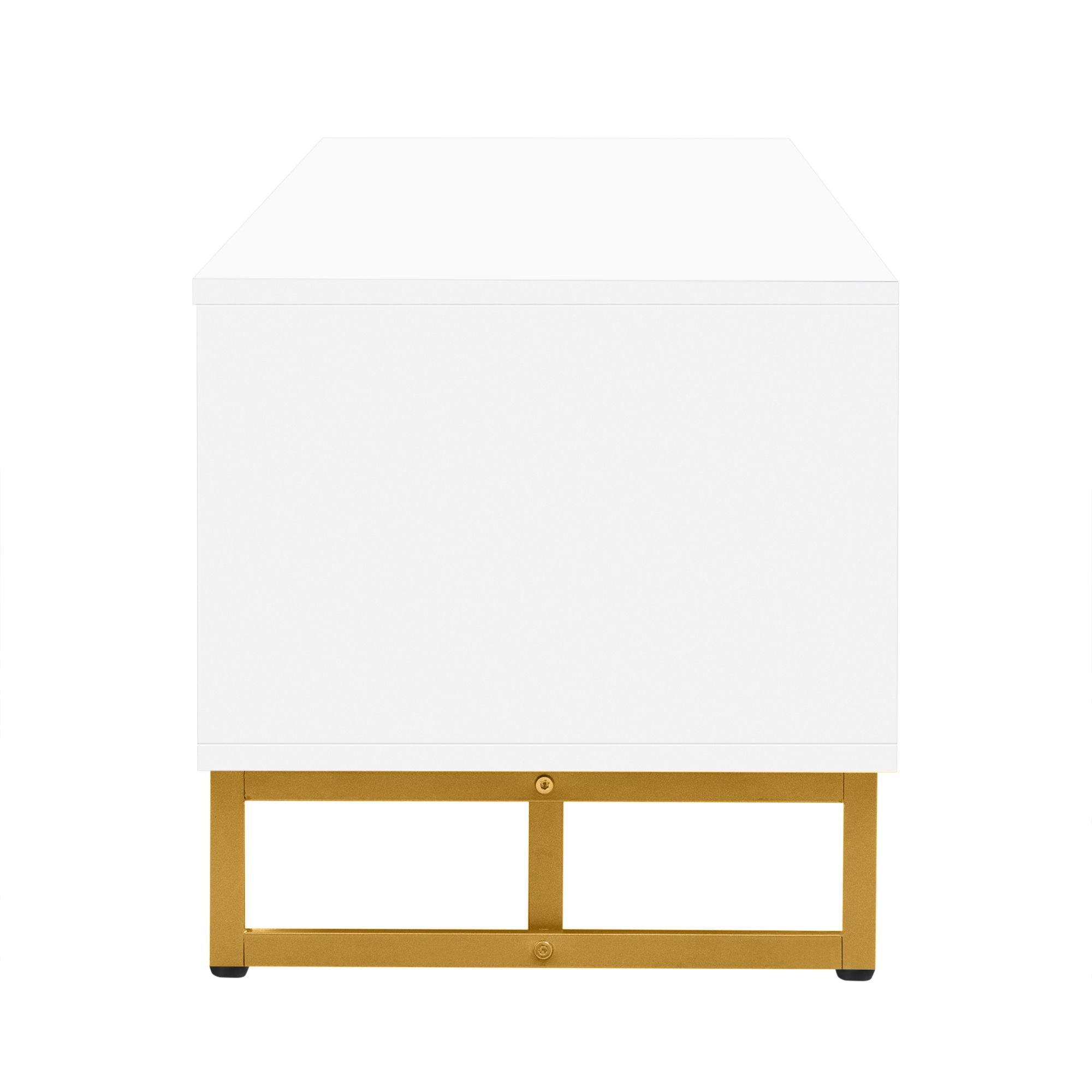 Modern TV Stand With Storage For Living Room