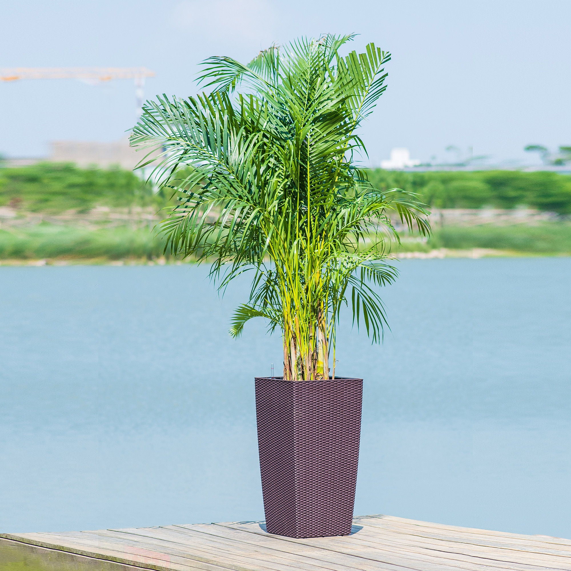 Large Self Watering Flower Pot With Drainage Holes & Inner Tray