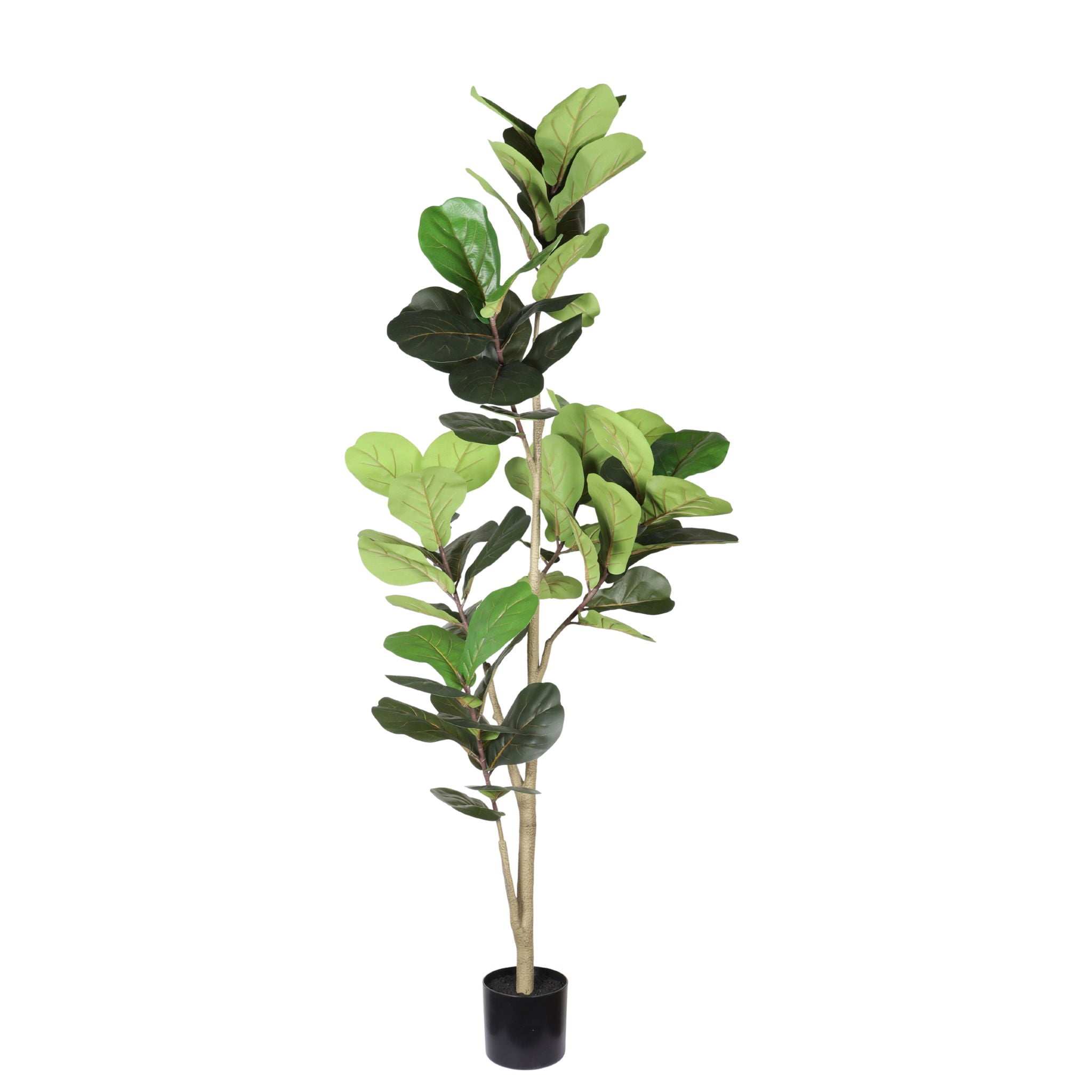 6Ft Real Touch Fake Fiddle Leaf Fig Tree In Pot, Indoor Decor For Home - Green Leaves