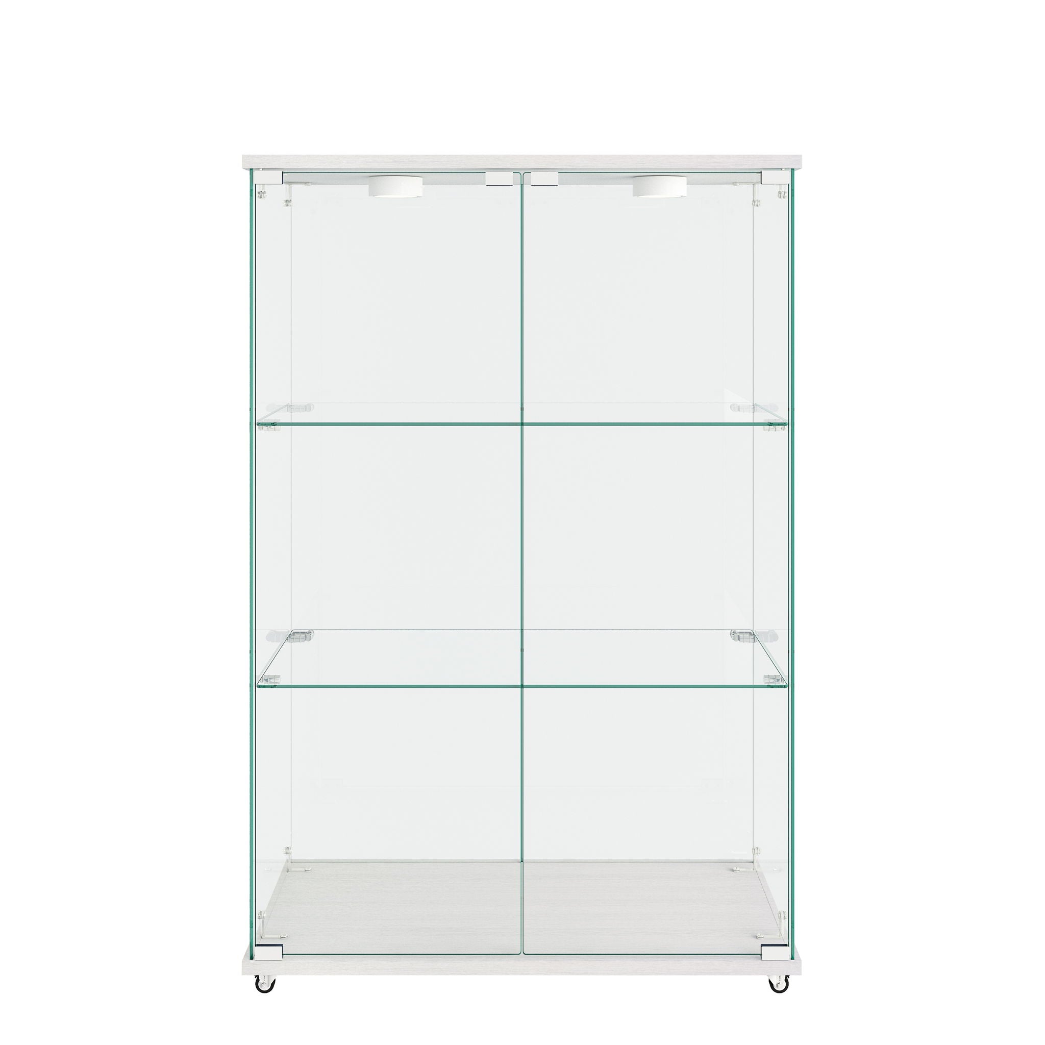 Modern Display Cabinet With LED Lights, Transparent Tempered Glass 2 Door Storage Case With 3 Shelves