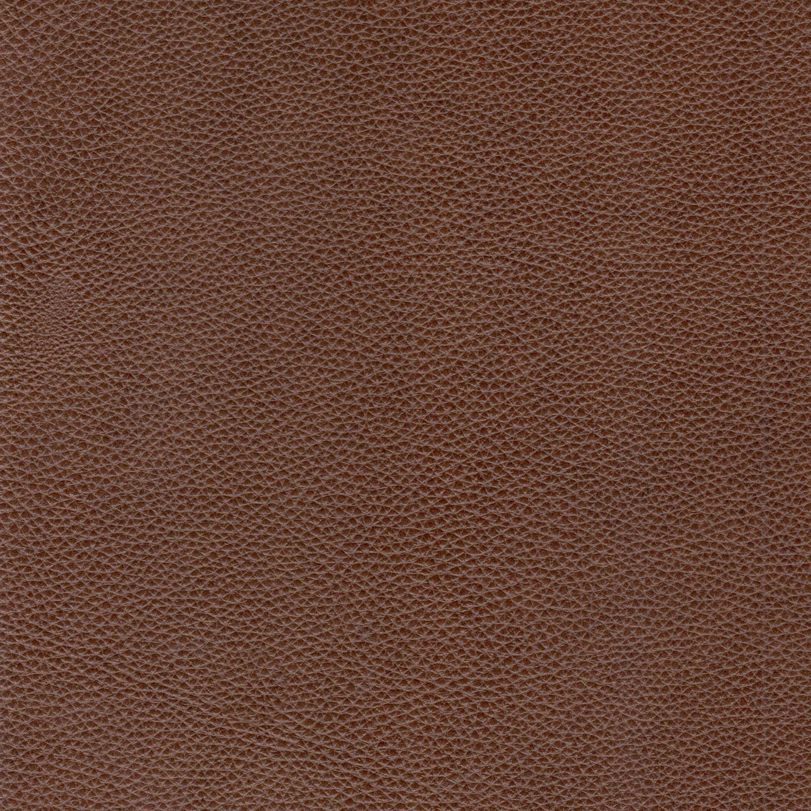 Modern & Contemporary Leather Sofa - Best Buy Furniture