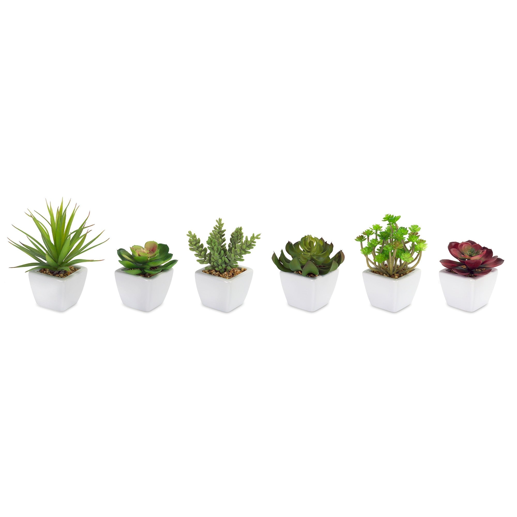 Assorted-succulent-in-traditional-white-pot-(set-of-6)-Artificial-Non-Flowering-Plants