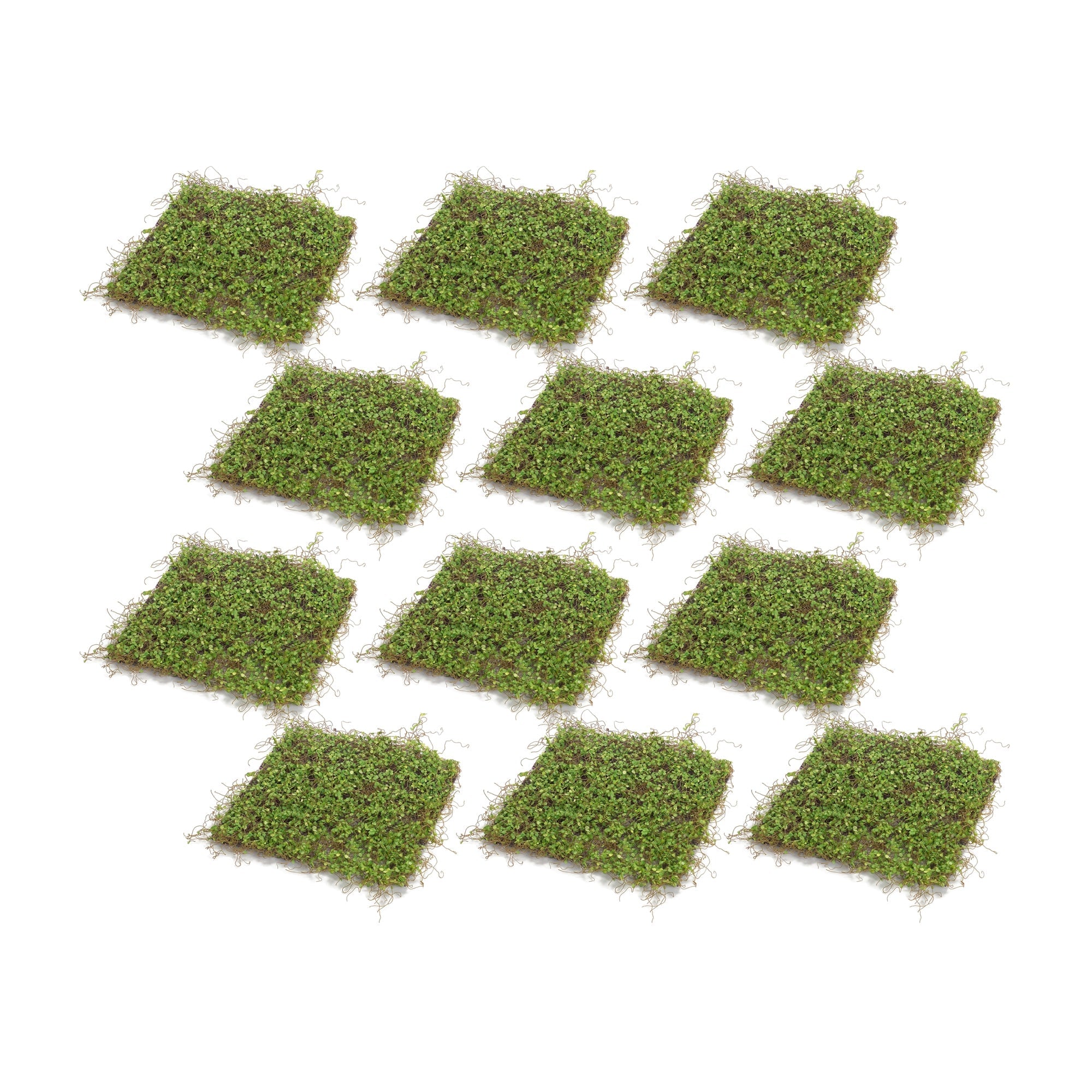 Lifelike-Moss-Display-Mat-(Set-of-12)-Garden-Decor