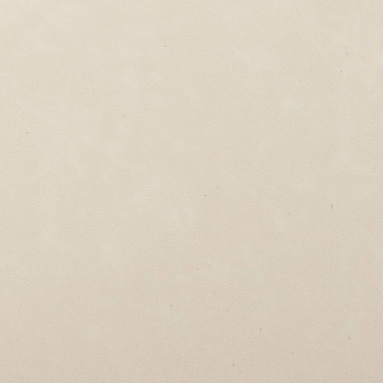 Carnation - Dining Chair