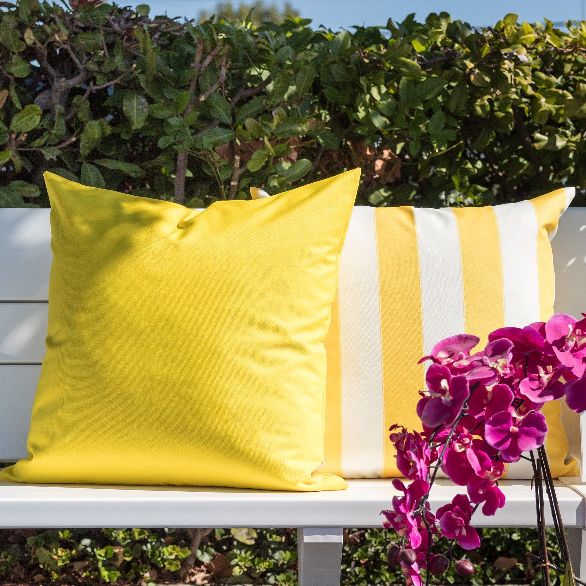 Amazon Rainforest - Solid Pillow