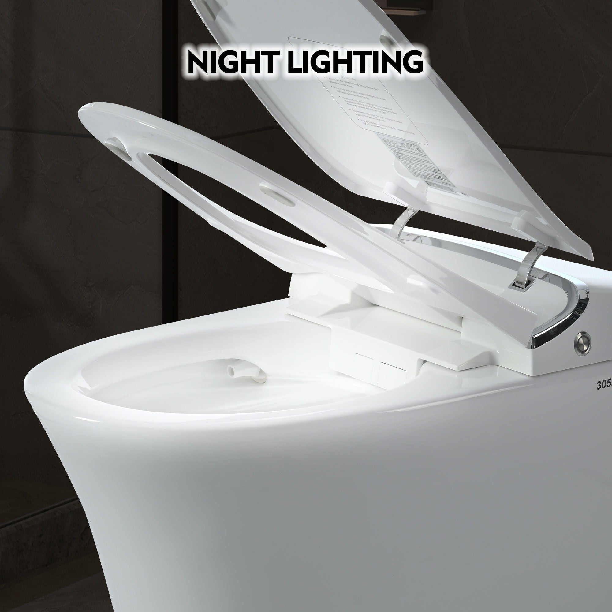 Luxury Smart Toilet With Dryer And Warm Water, Elongated Bidet Toilet With Heated Seat, With Remote Control, Led Night Light, Power Outage Flushing, Soft Close Cover - White