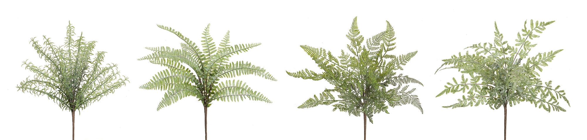 Assorted Fern Foliage Bush (Set of 12)